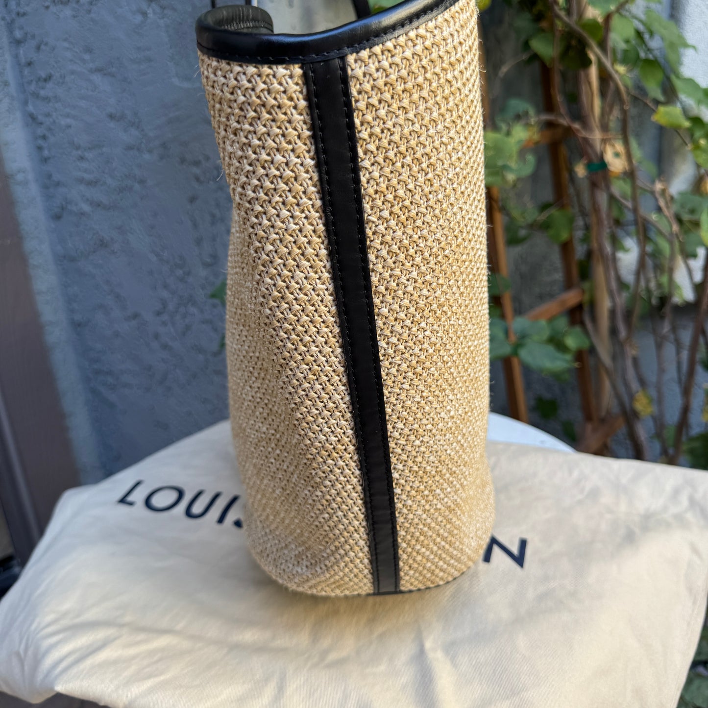 Louis Vuitton Saint Jacques Tote