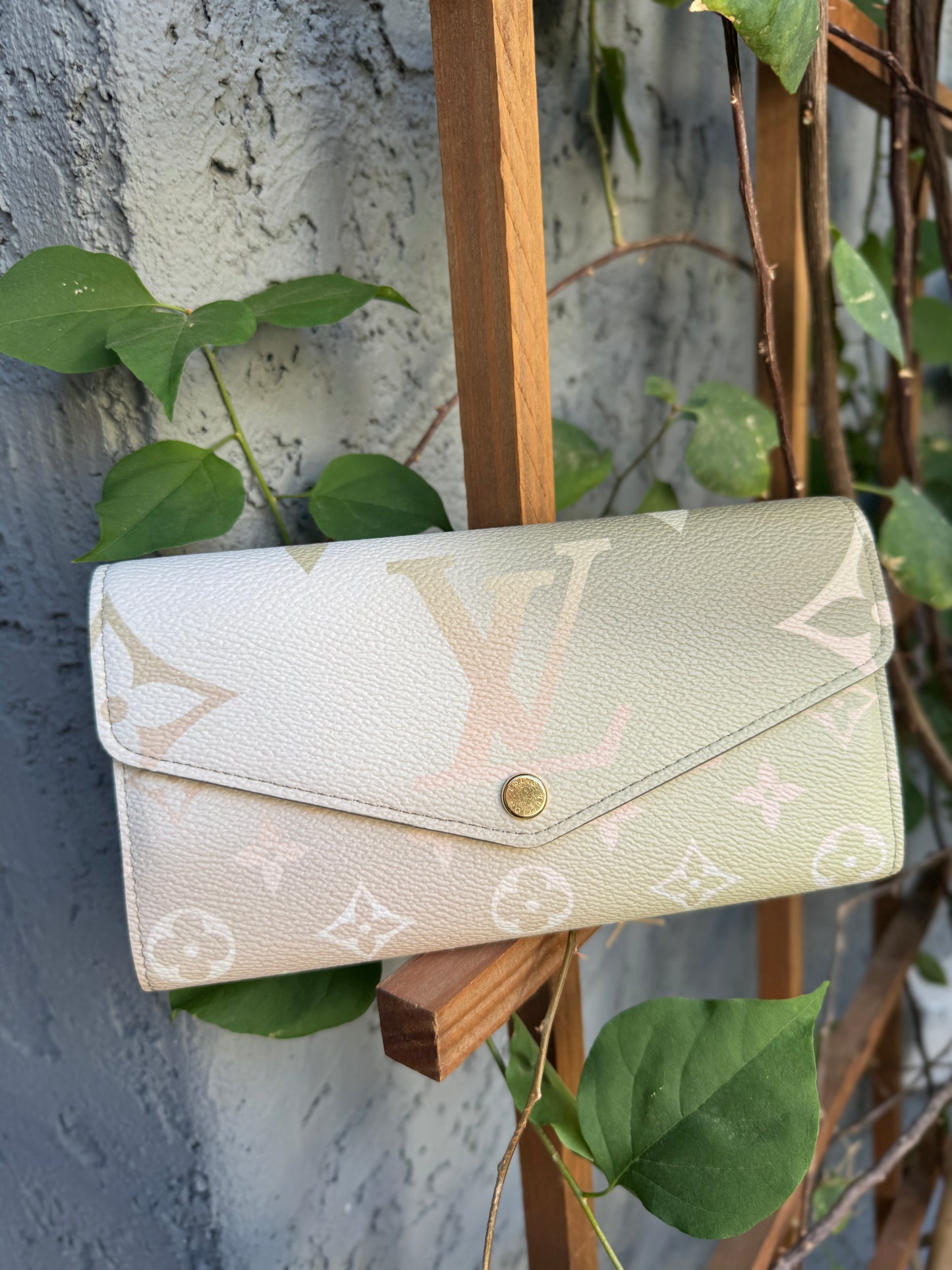 Louis Vuitton Spring in the City Sarah Wallet