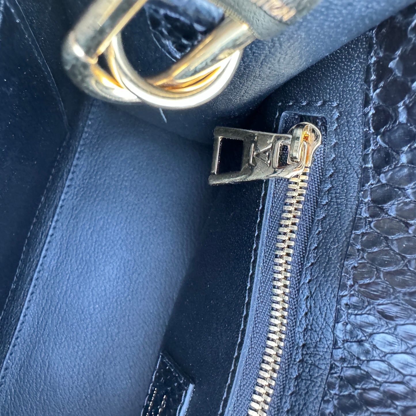 Louis Vuitton Python Onthego PM Crossbody
