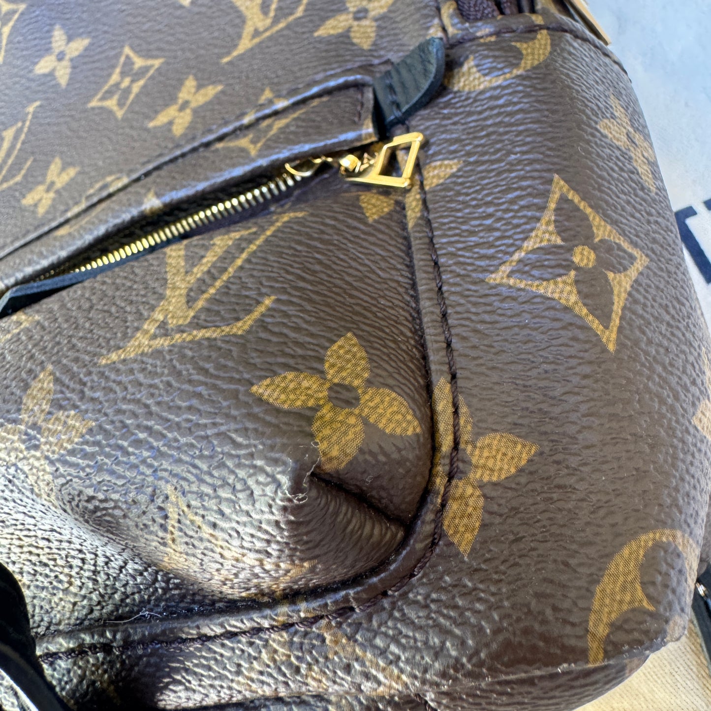 Louis Vuitton Monogram Mini Palm Springs Backpack