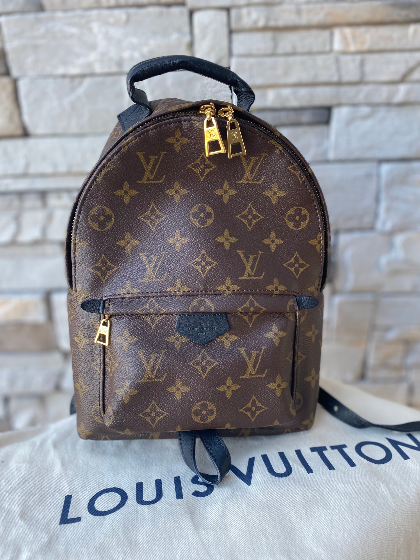 Louis Vuitton Monogram Palm Springs PM Backpack