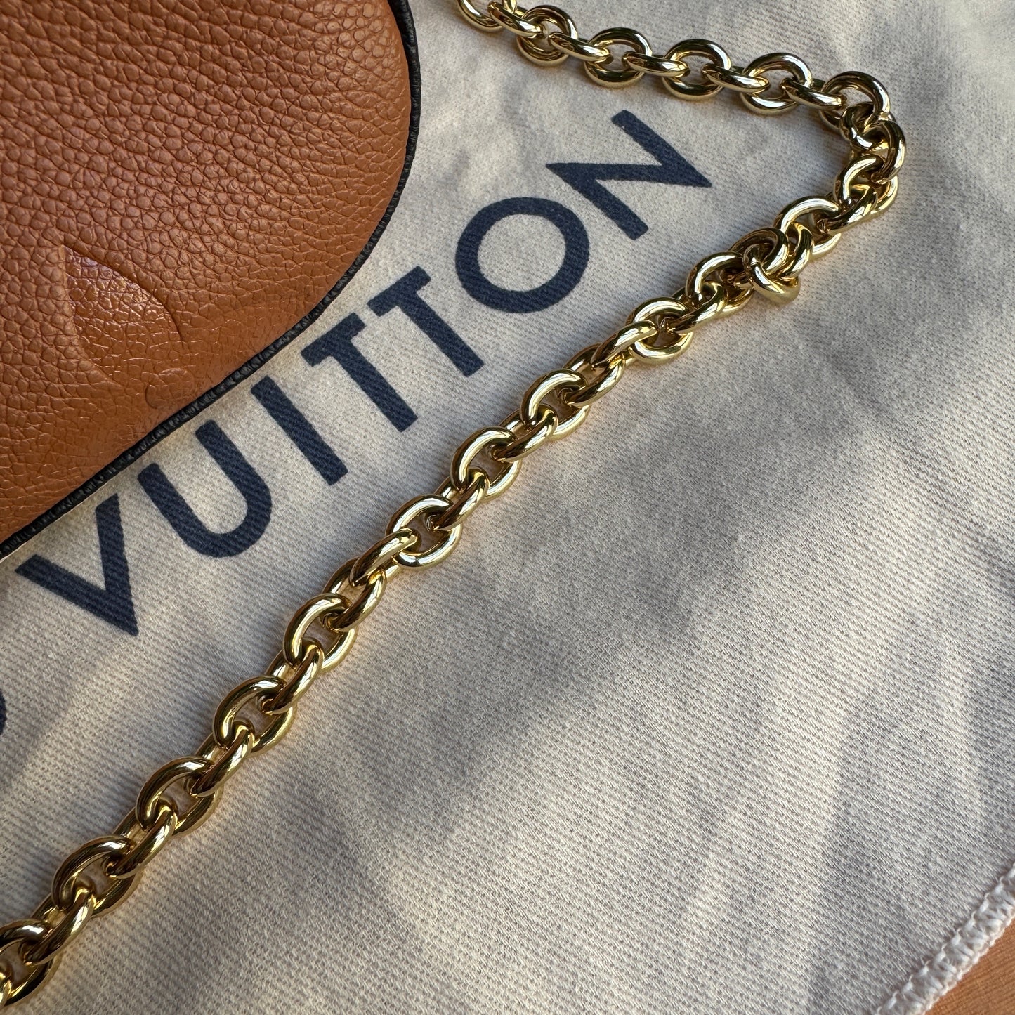 Louis Vuitton Wild at Heart Multi Pochette Accessoires