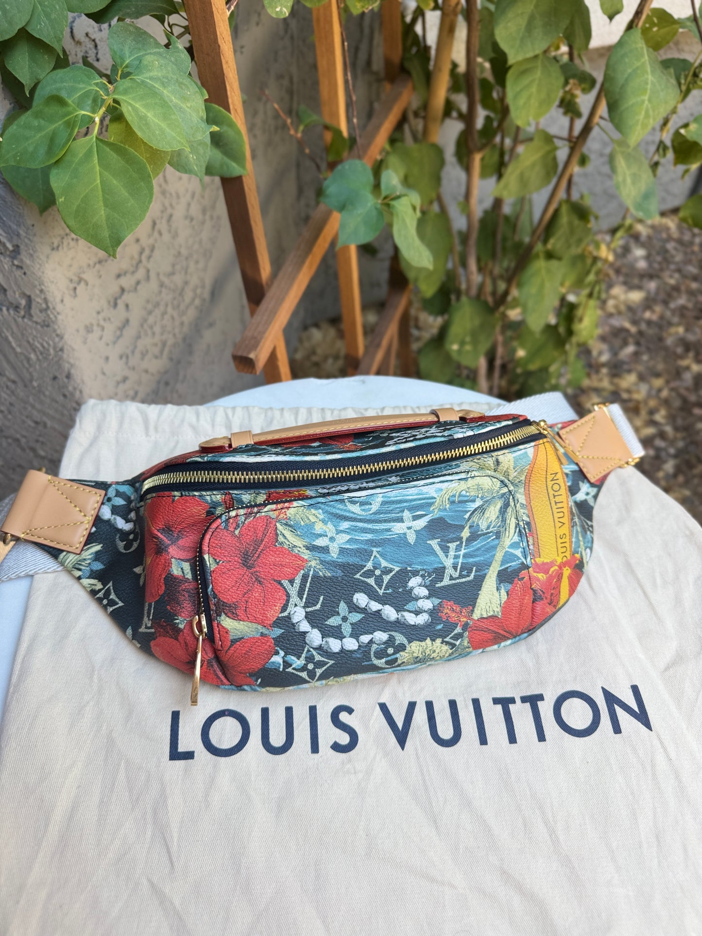 Louis Vuitton Monogram Surfin’ Rush Bumbag