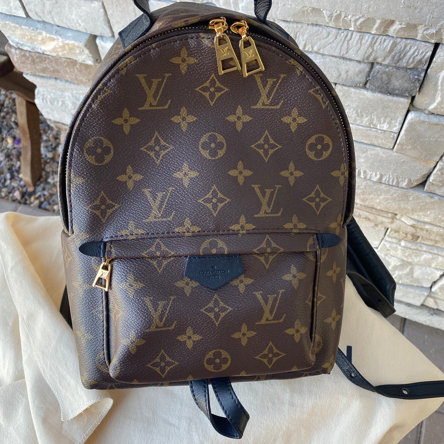 Louis Vuitton Monogram Palm Springs PM Backpack