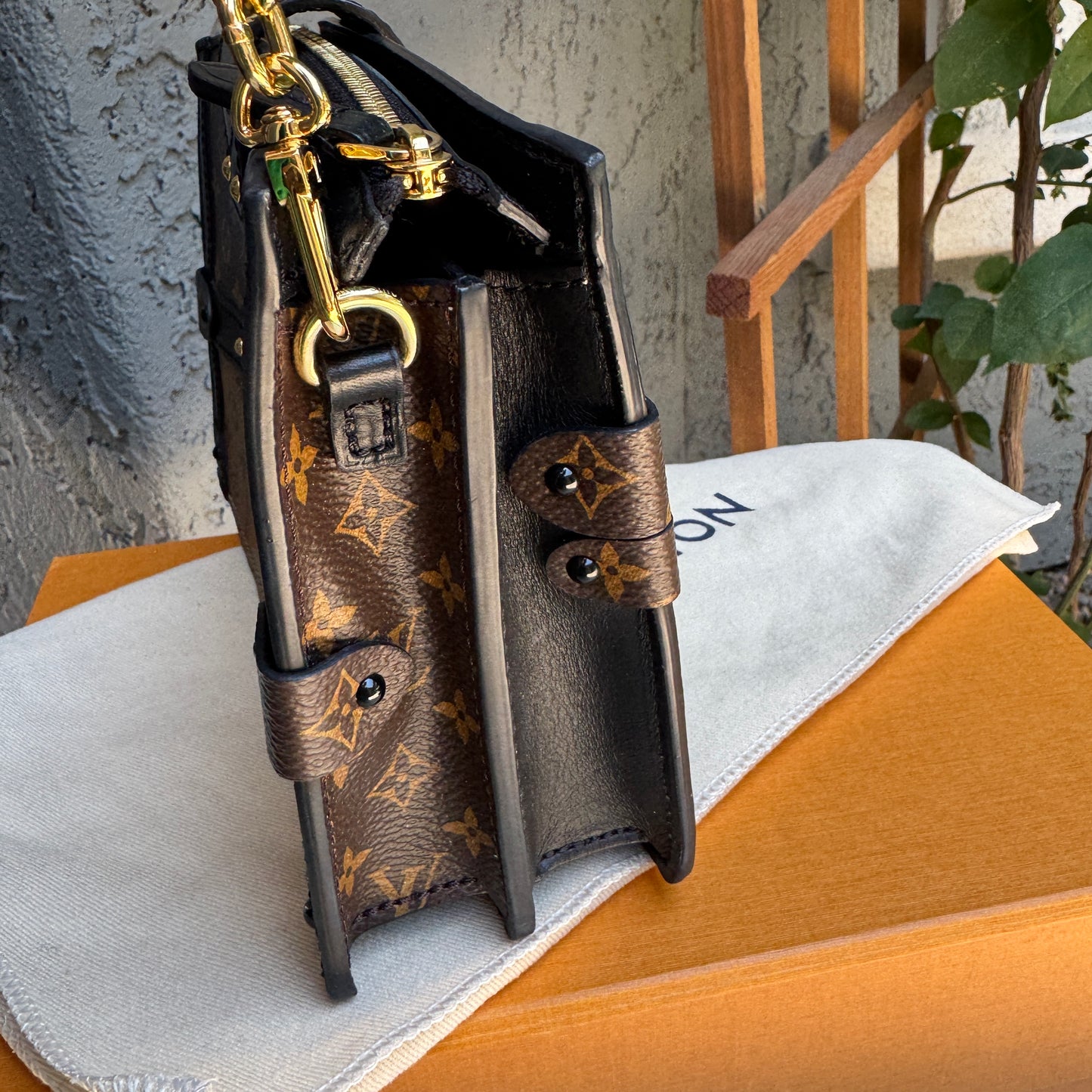 Louis Vuitton Reverse Monogram Trunk Clutch