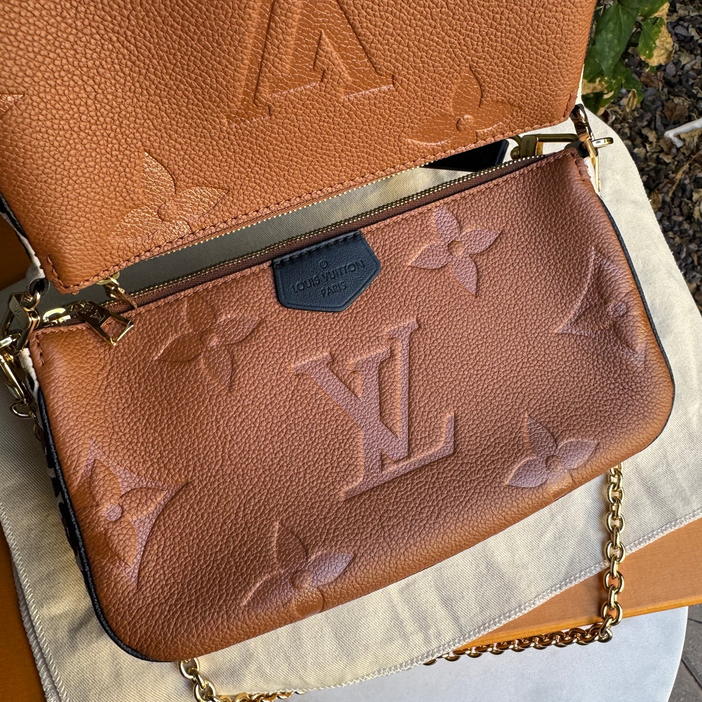 Louis Vuitton Wild at Heart Multi Pochette Accessoires