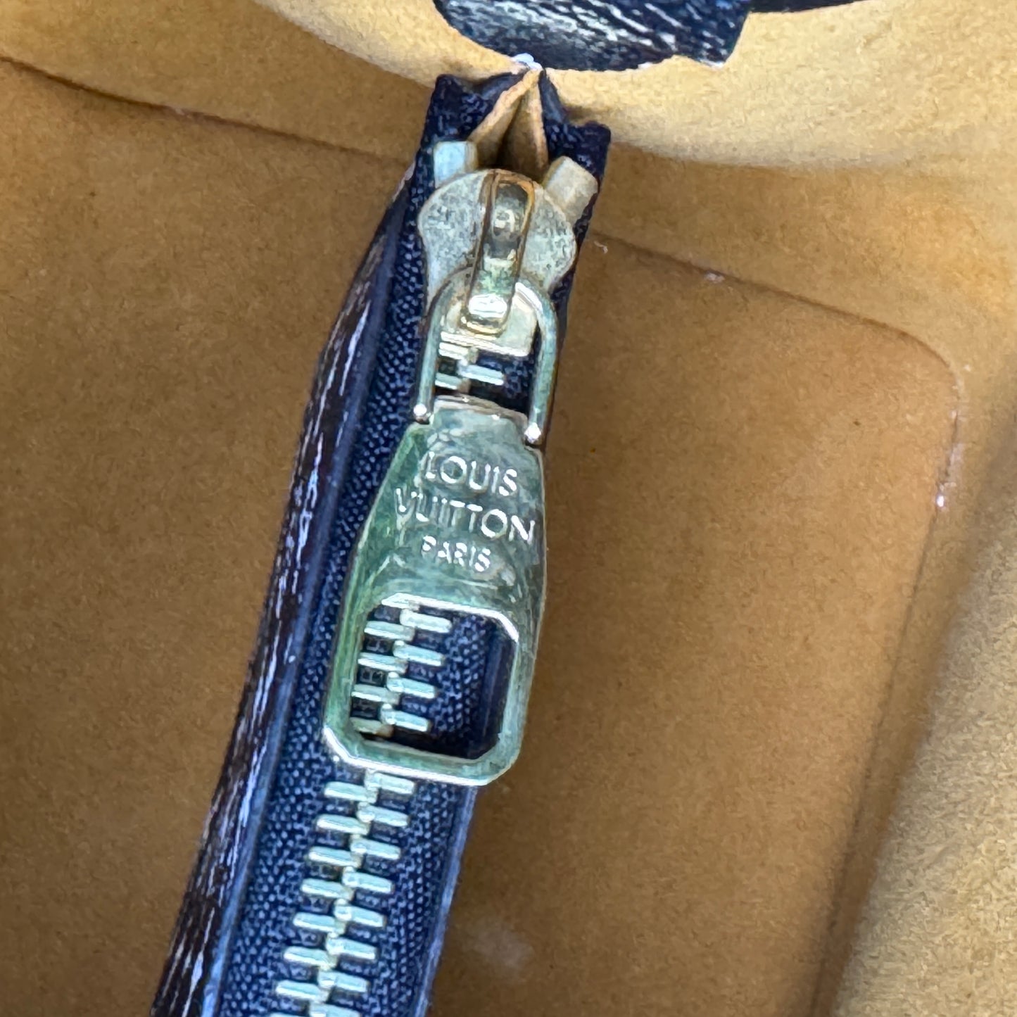 Louis Vuitton Giant Monogram Jungle NeoNoe Crossbody
