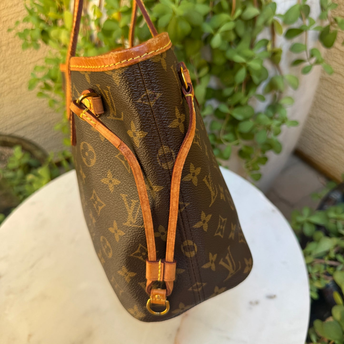 Louis Vuitton Monogram Neverfull PM