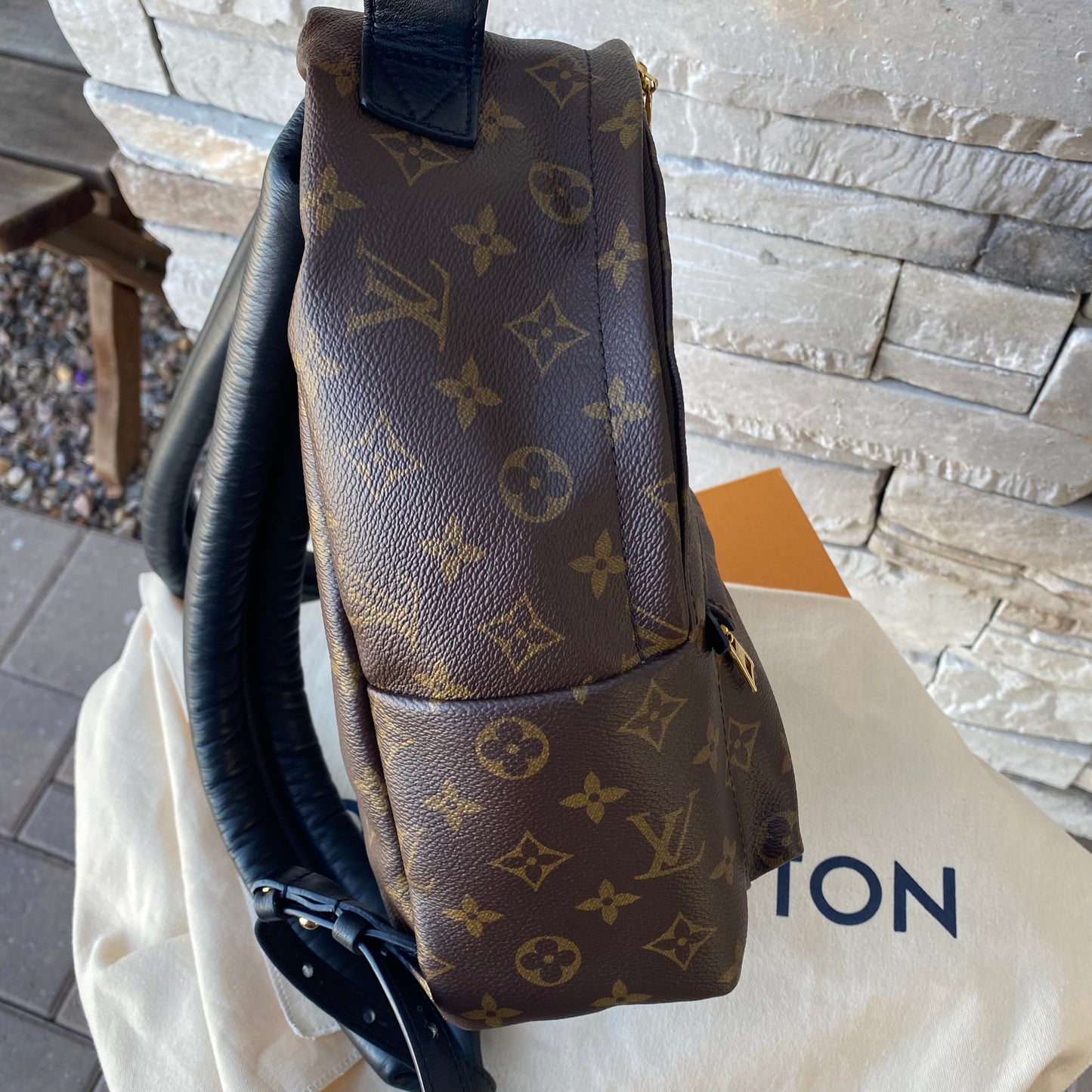 Louis Vuitton Monogram Palm Springs PM Backpack