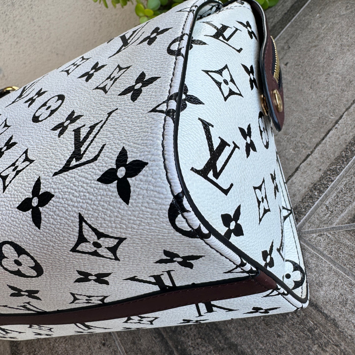 Louis Vuitton Monogram Speedy Amazon PM