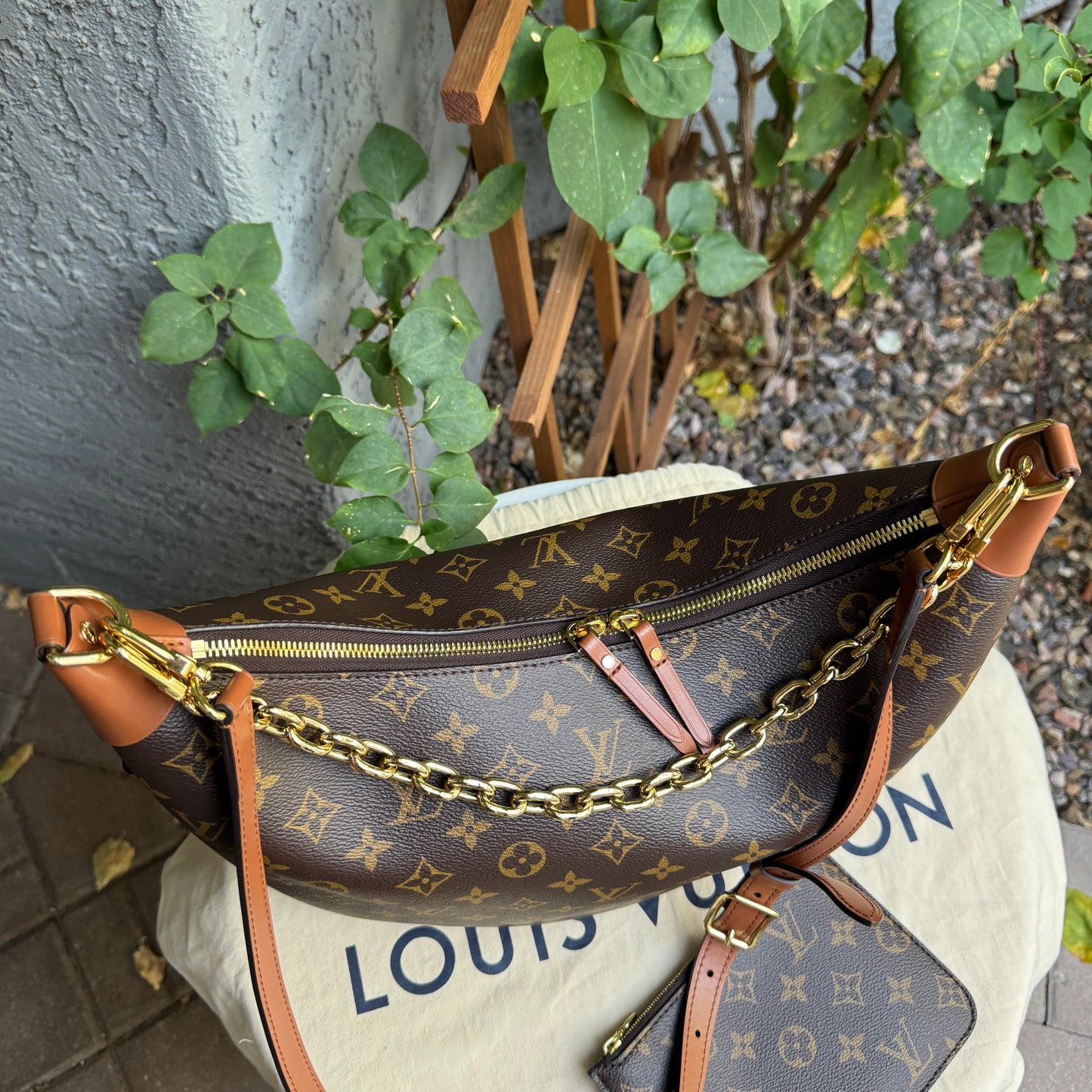Louis Vuitton Reverse Monogram Loop Hobo Shoulder Bag