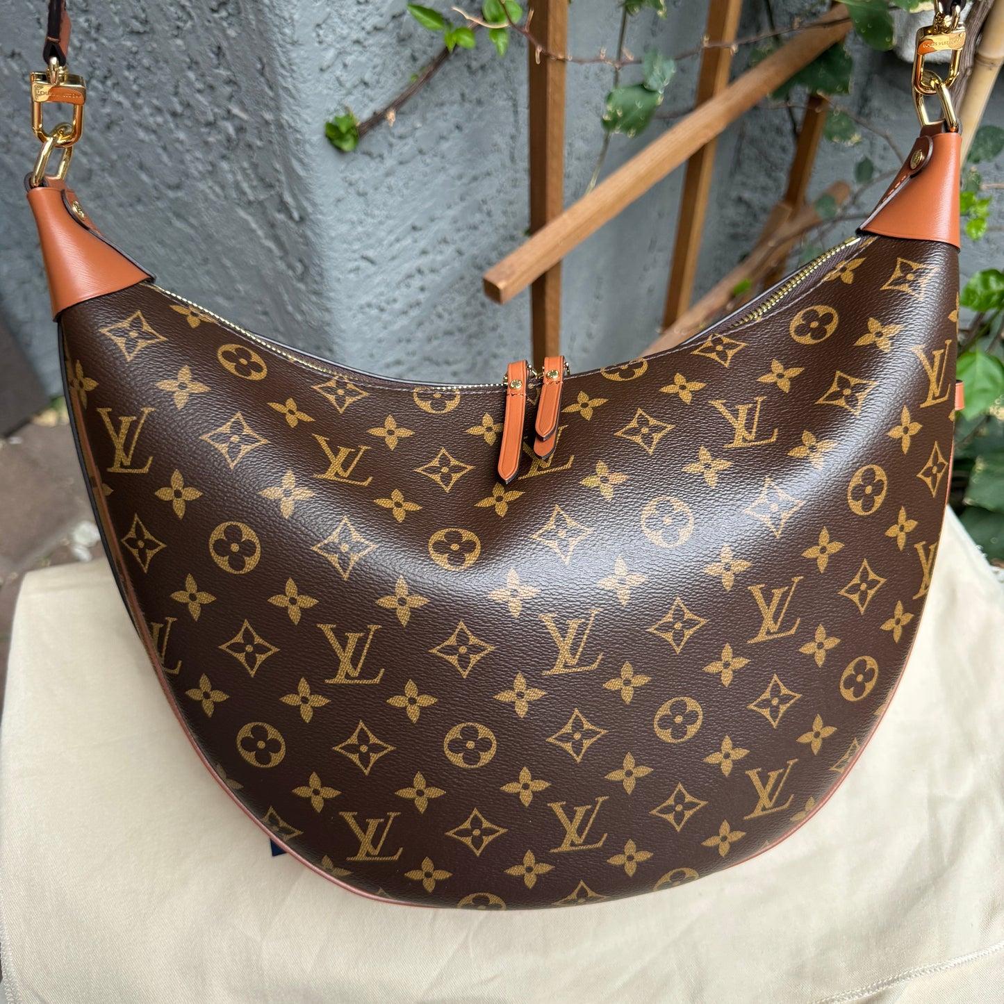 Louis Vuitton Loop Hobo