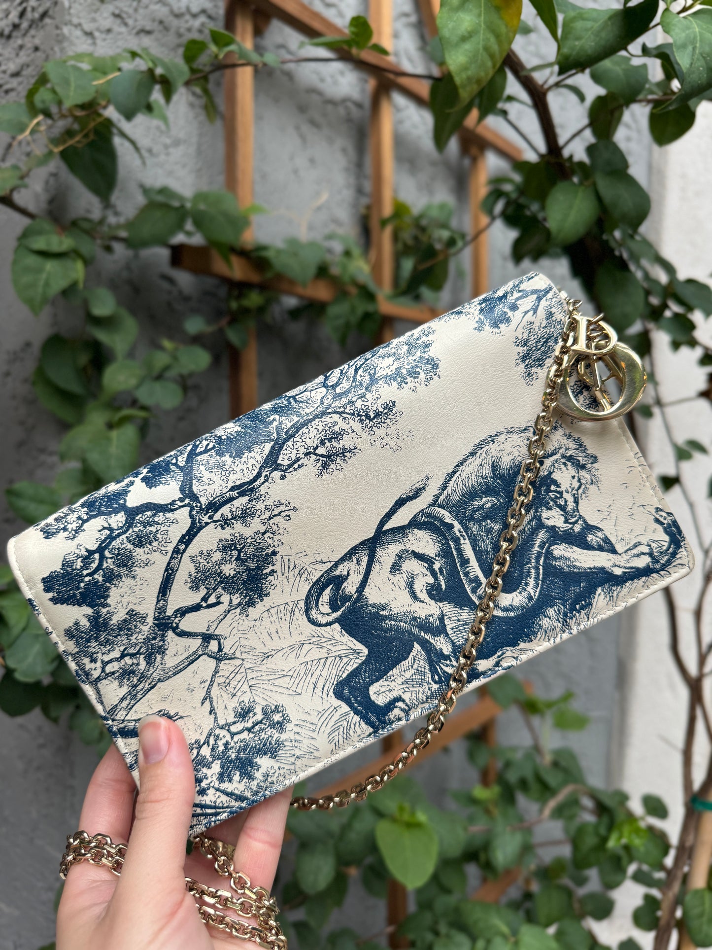 Christian Dior Toile De Jouy Chain Crossbody