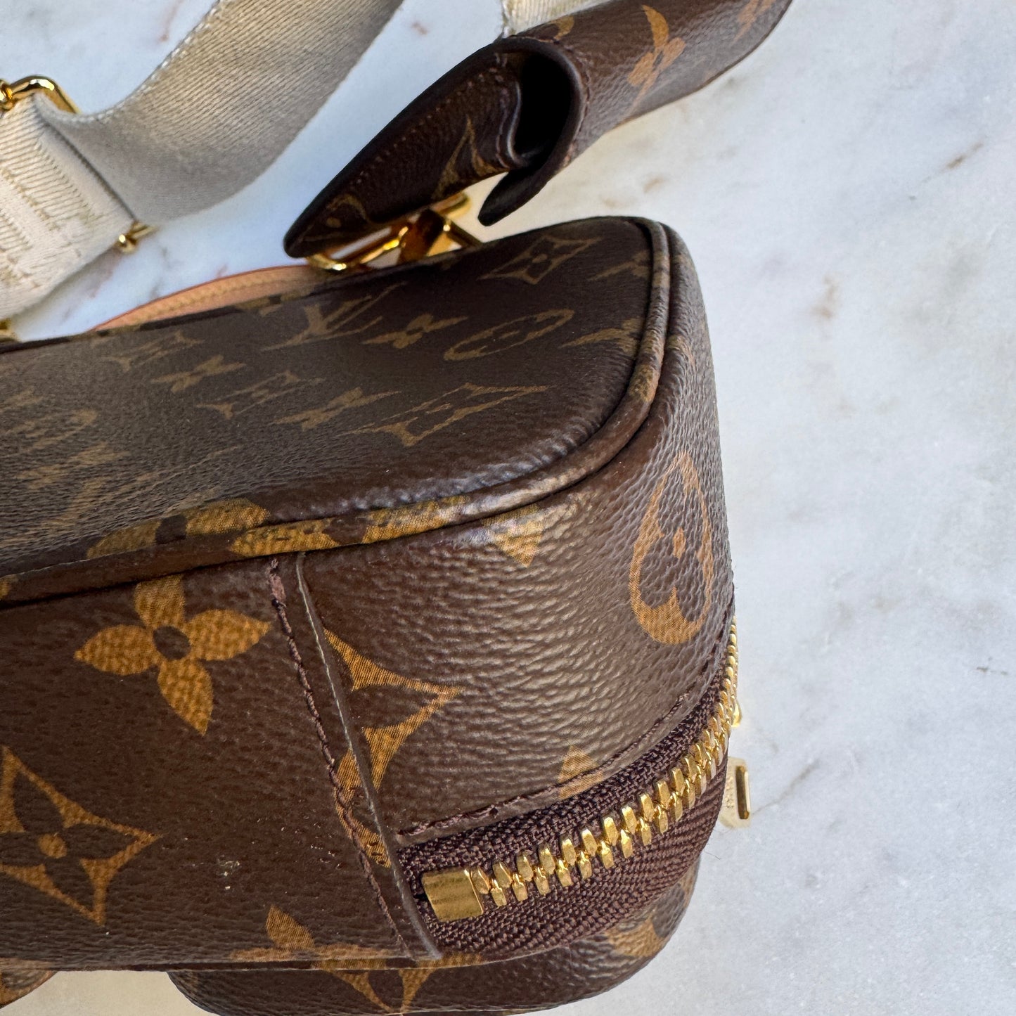 Louis Vuitton Monogram Utility Crossbody