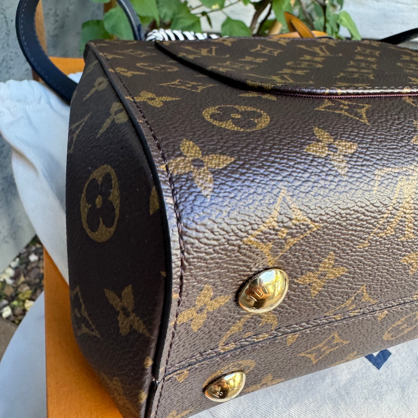 Louis Vuitton Monogram Braided Cluny MM