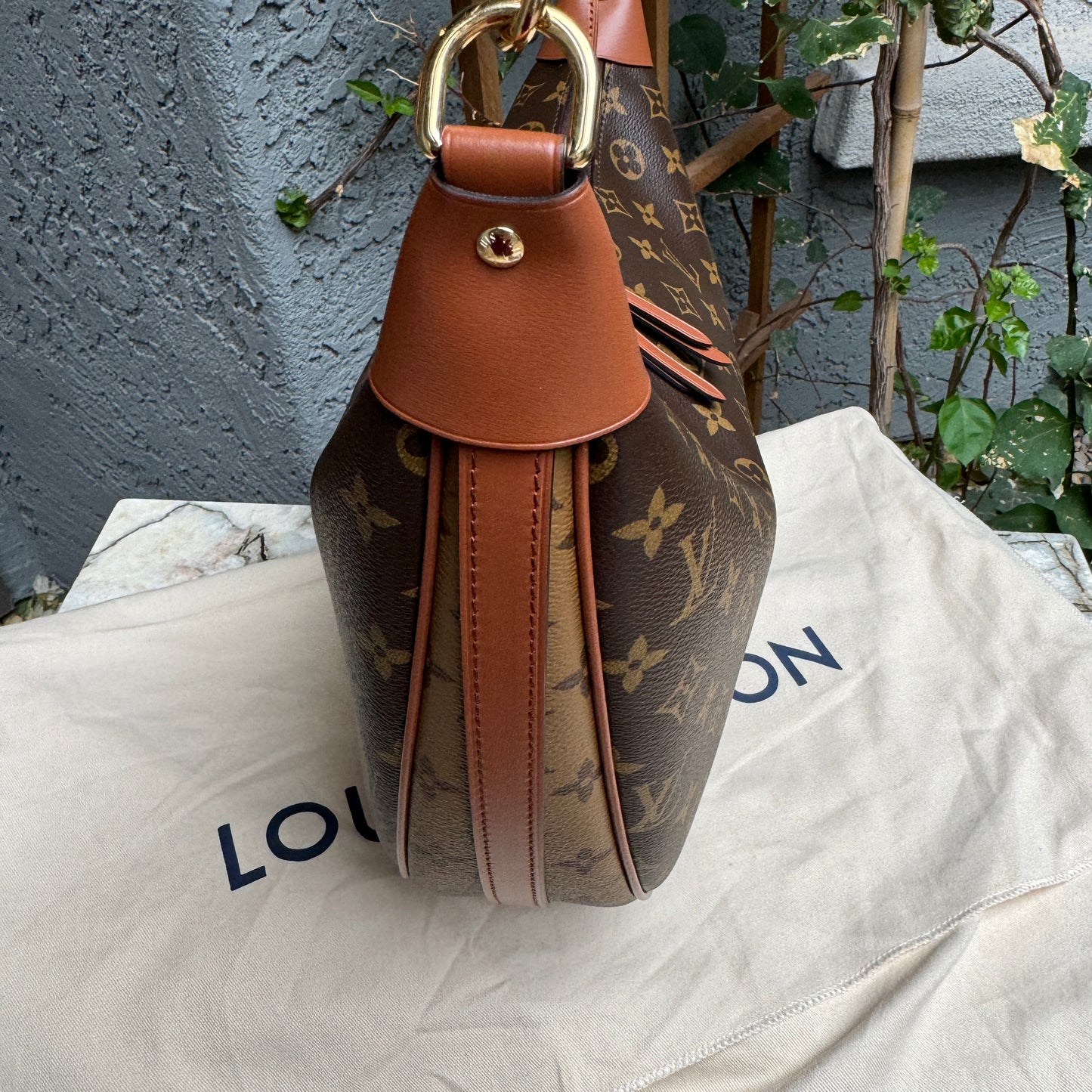 Louis Vuitton Loop Hobo