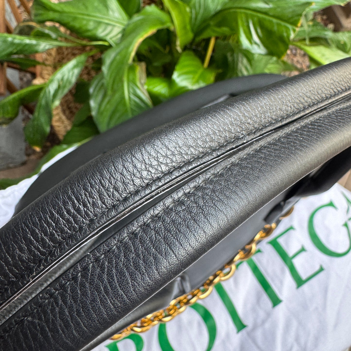 Bottega Veneta Mount Leather Tote