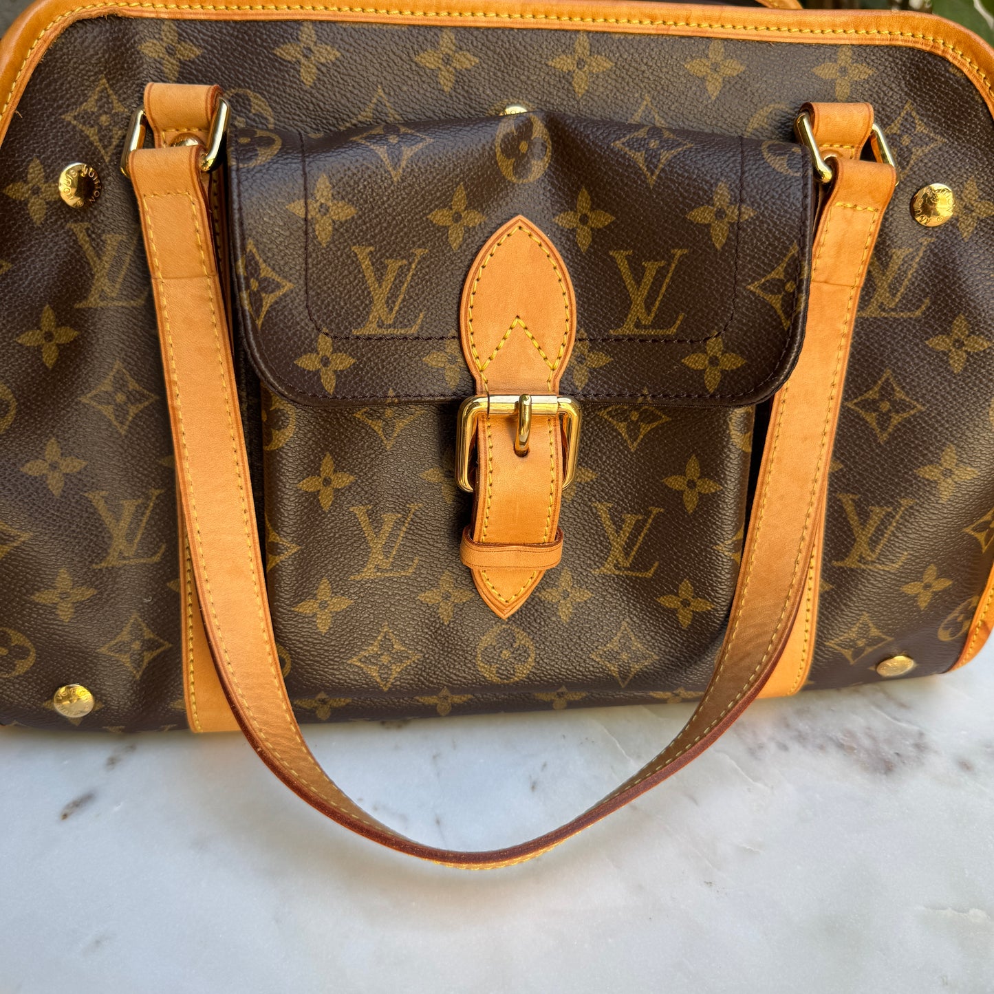 Louis Vuitton Monogram Baxter PM Dog Carrier