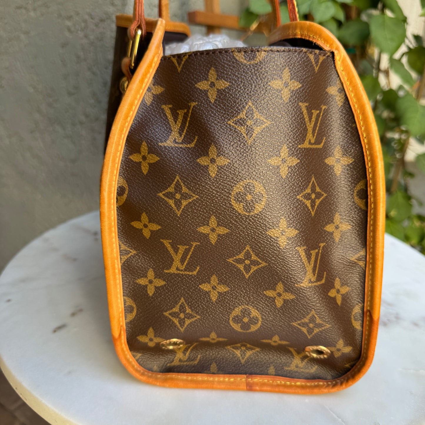 Louis Vuitton Monogram Baxter PM Dog Carrier