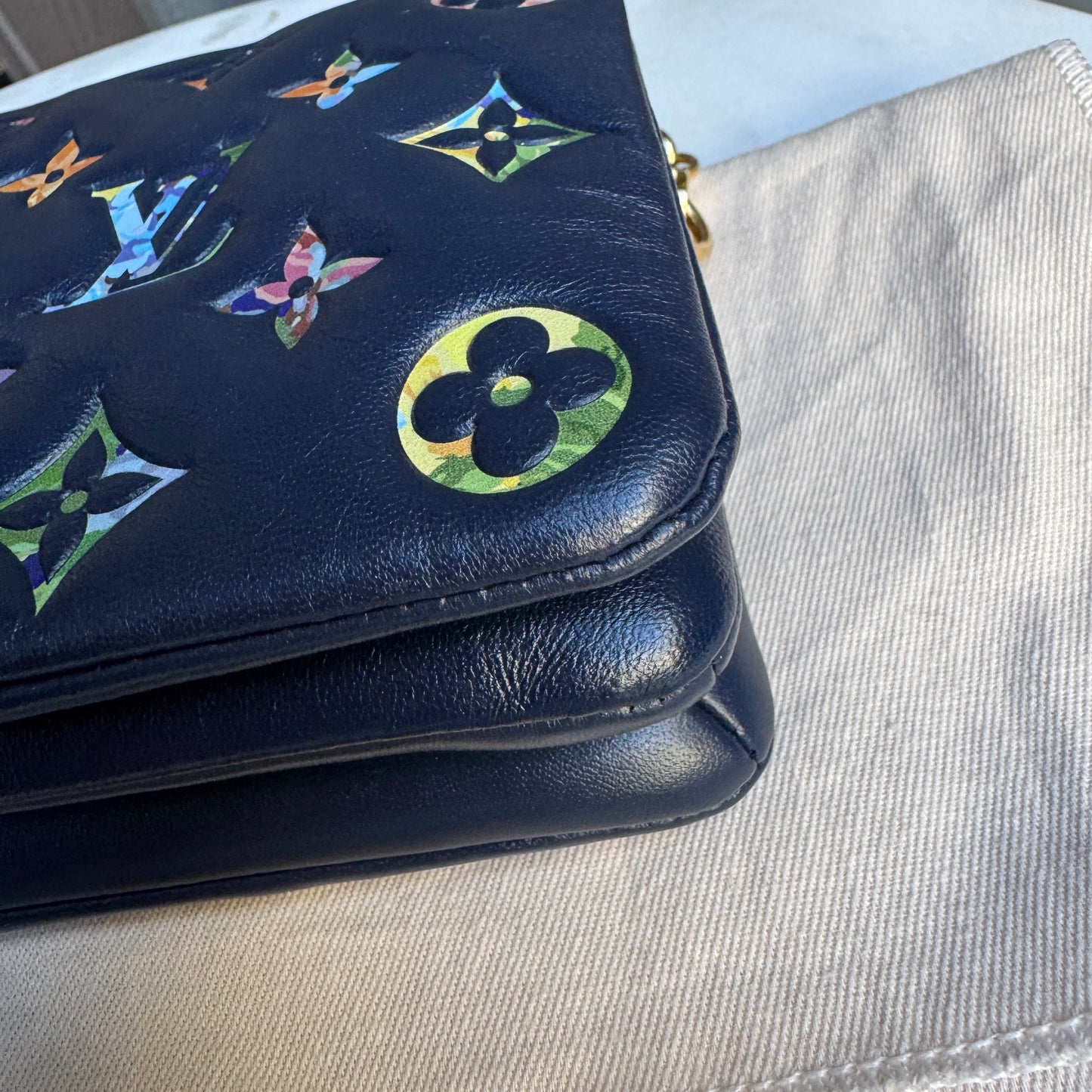 Louis Vuitton Multicolor Garden Pochette Coussin Crossbody