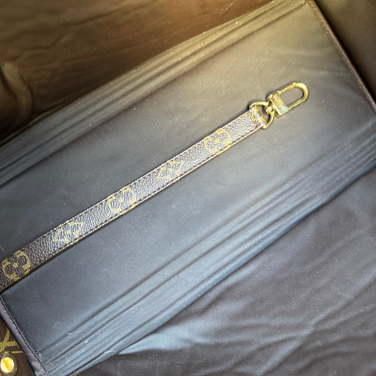 Louis Vuitton Monogram Baxter PM Dog Carrier