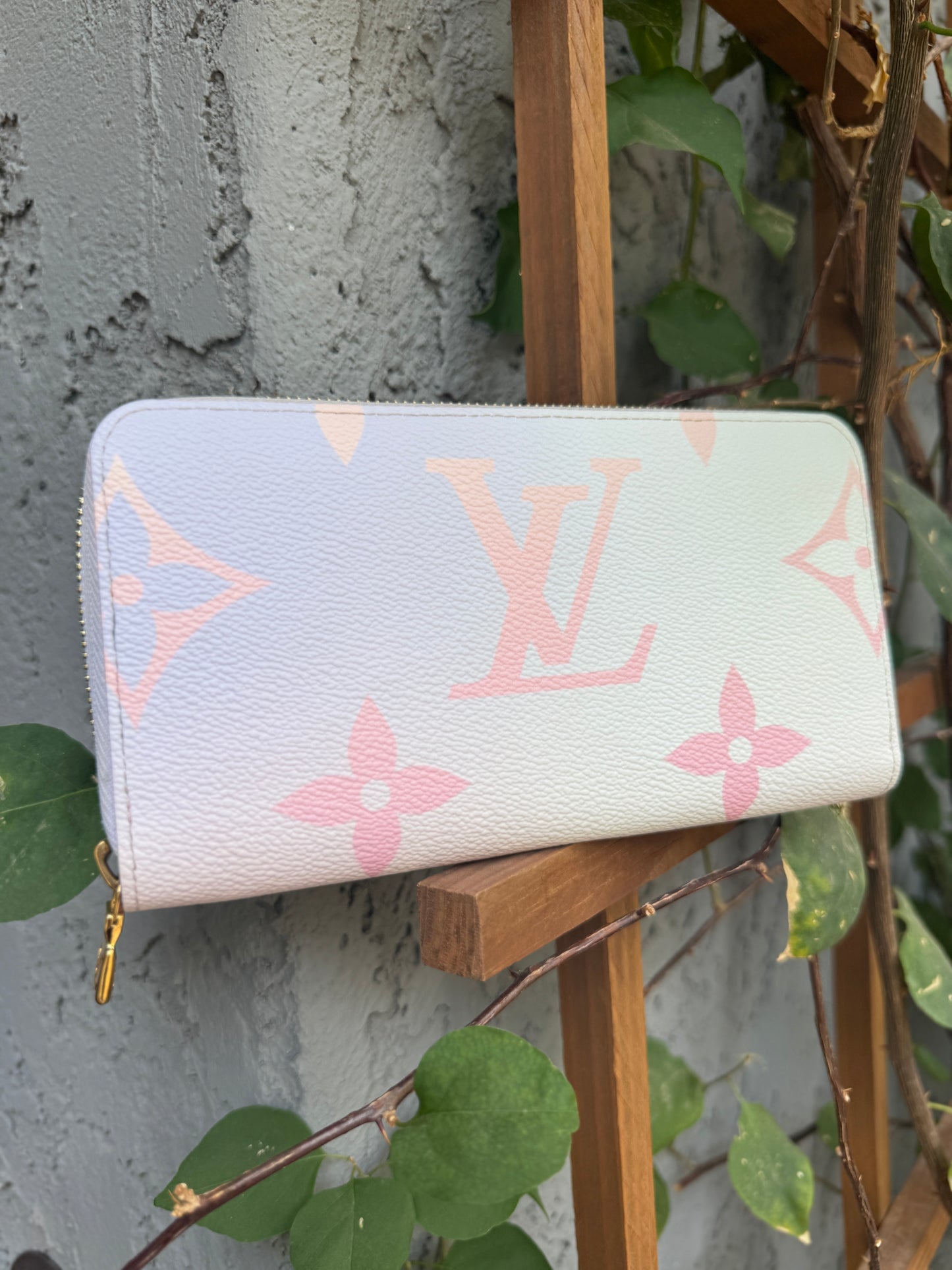 Louis Vuitton Spring in the City Zippy Wallet
