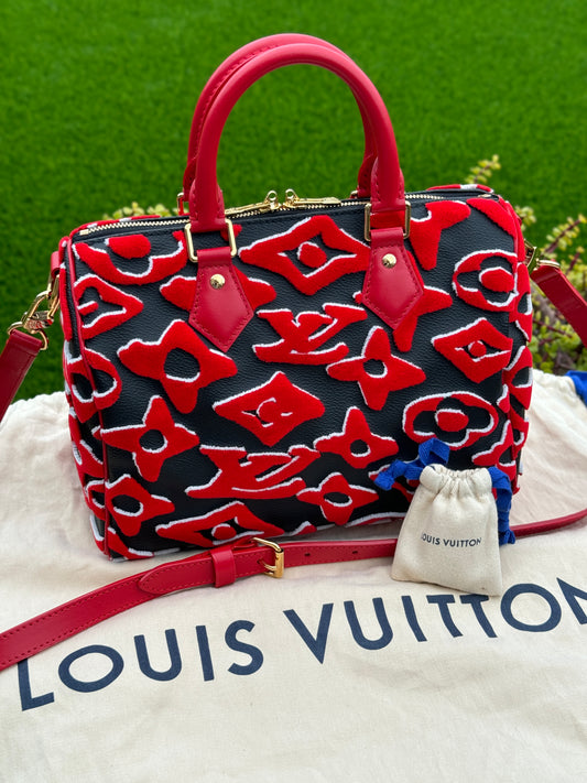Louis Vuitton x Urs Fischer Speedy Bandoulière 25