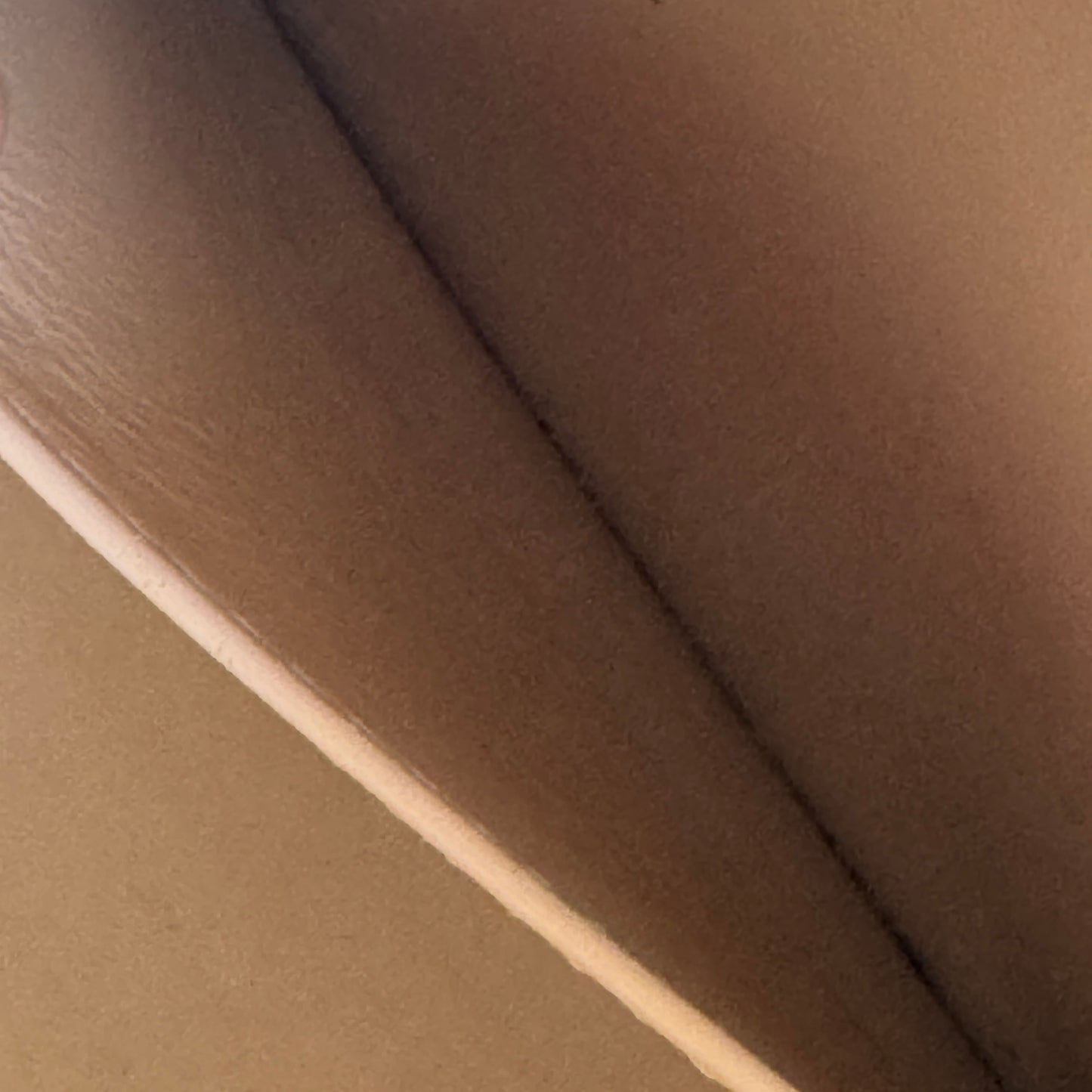 Louis Vuitton Monogram Speedy Amazon PM