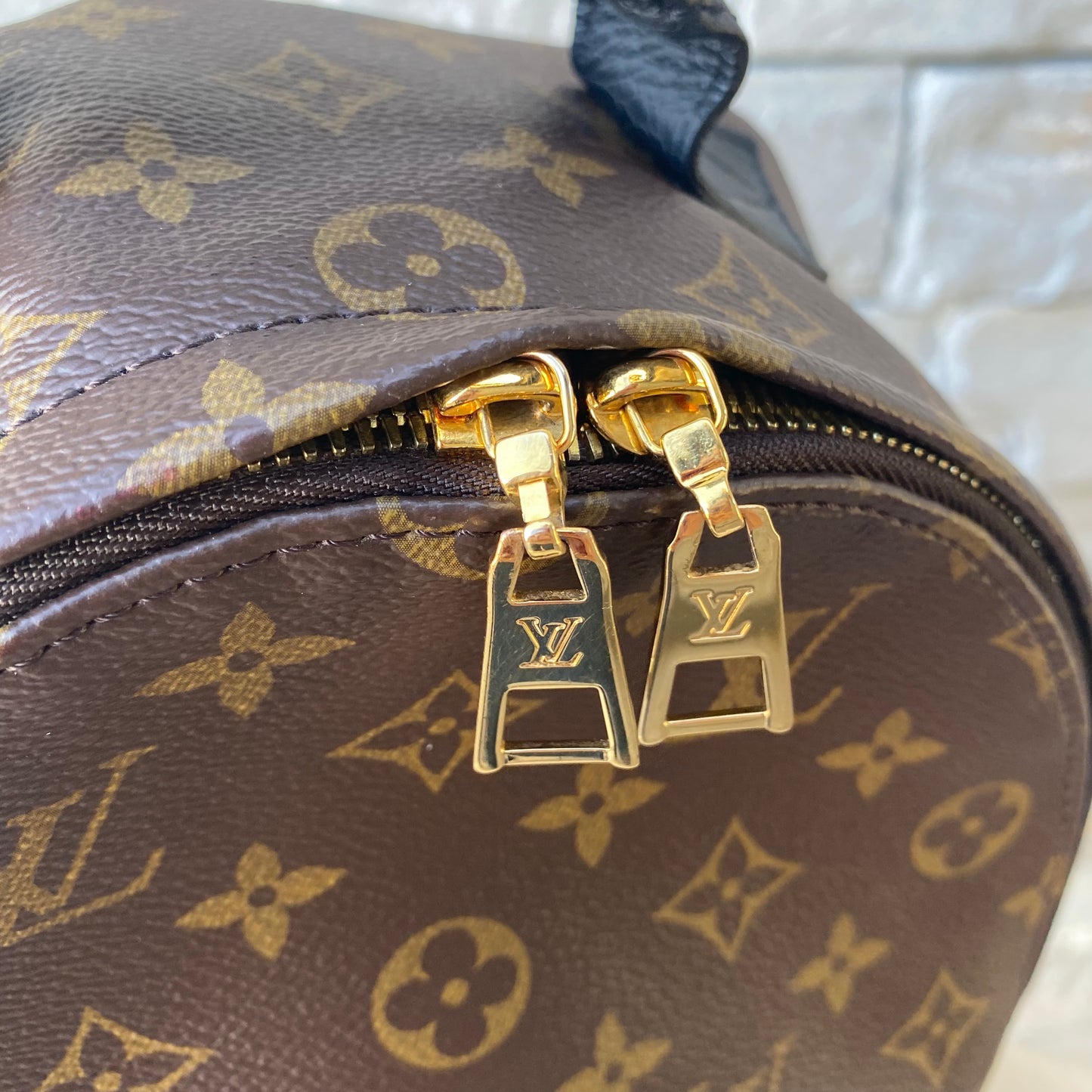 Louis Vuitton Monogram Palm Springs PM Backpack