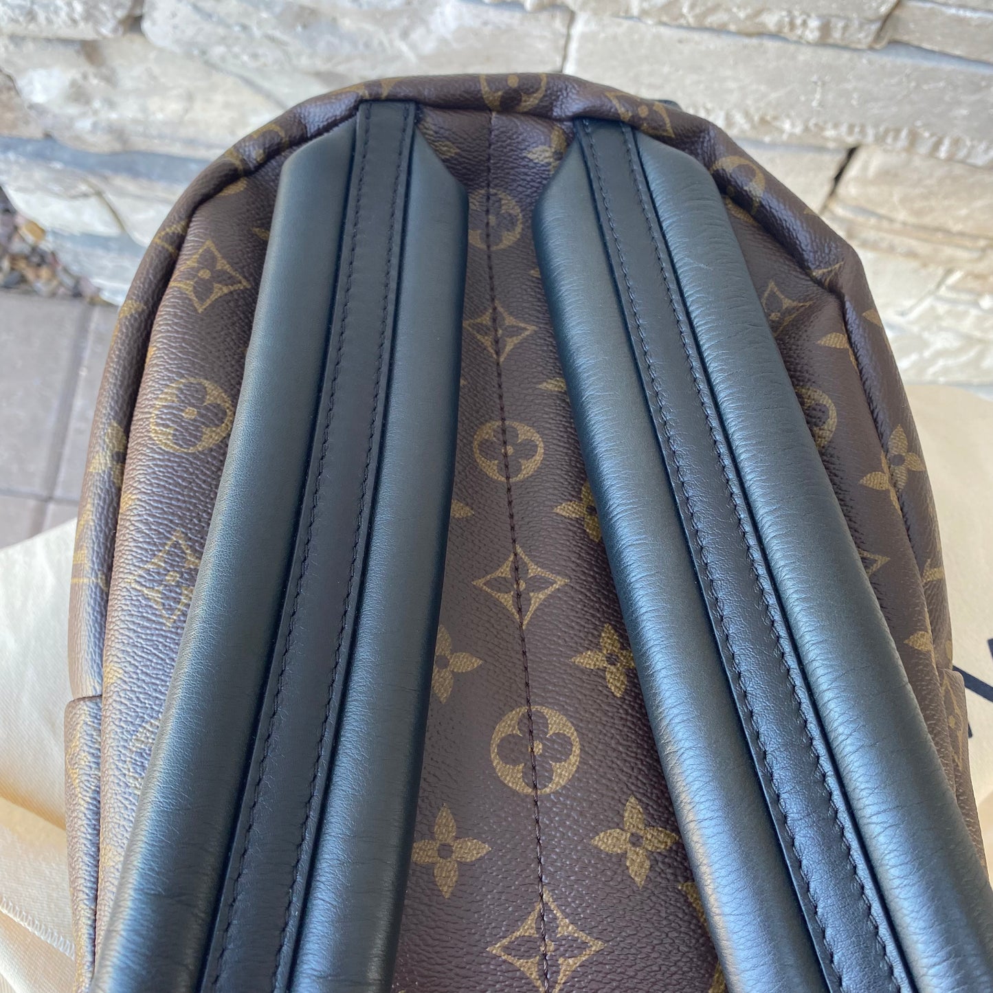 Louis Vuitton Monogram Palm Springs PM Backpack