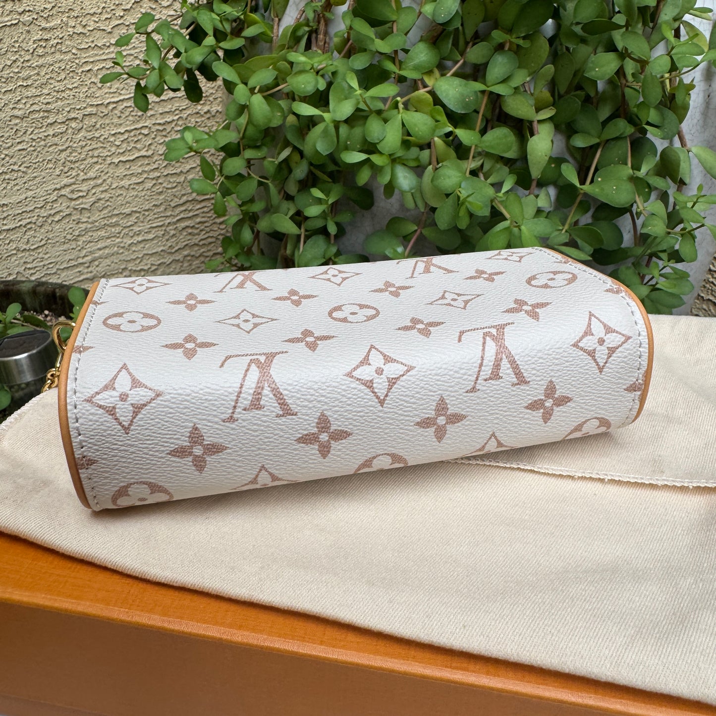 Louis Vuitton Monogram Dune Camille Pochette