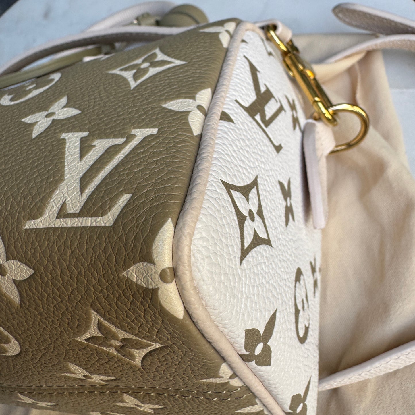 Louis Vuitton Speedy Bandoulière 20 Crossbody