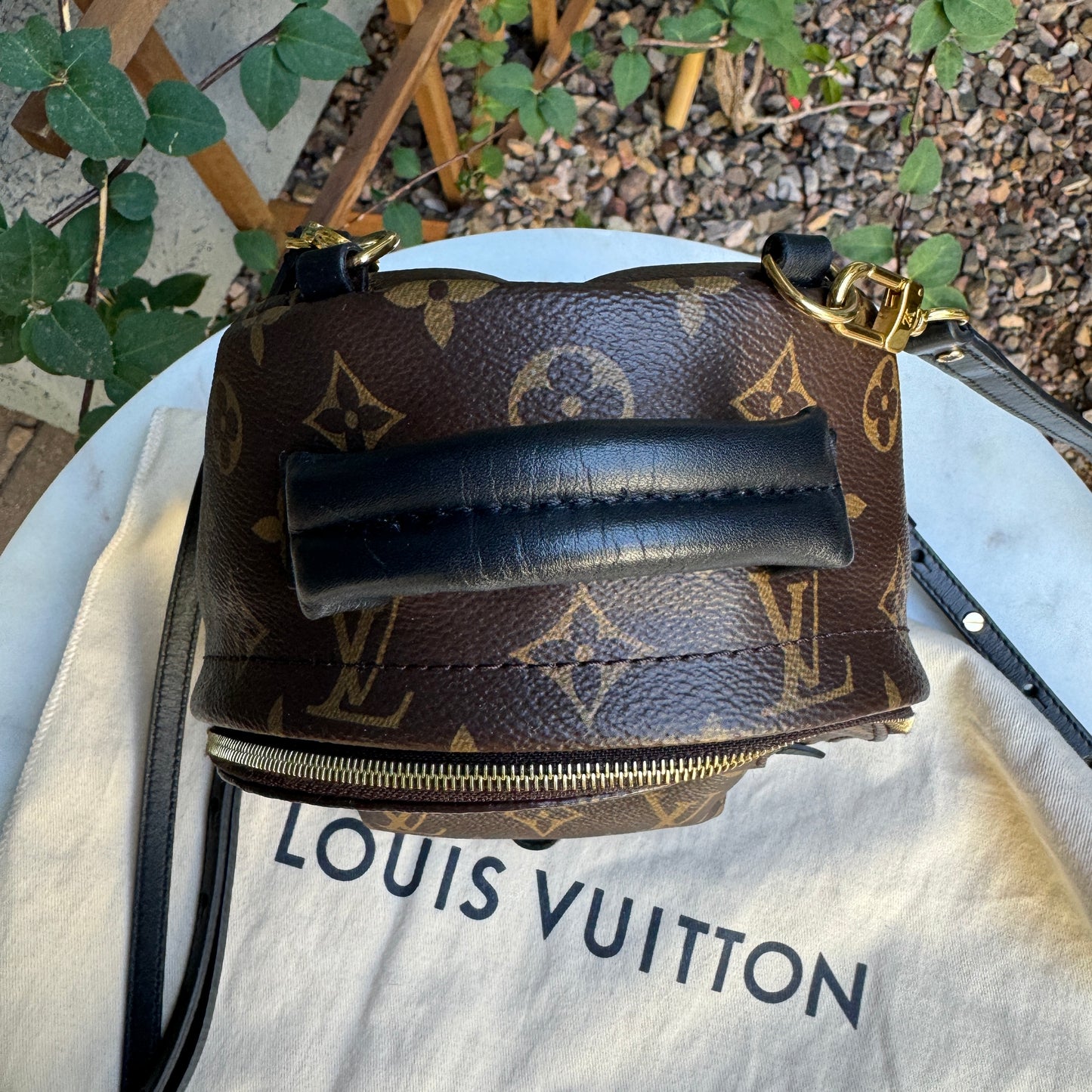 Louis Vuitton Monogram Mini Palm Springs Backpack