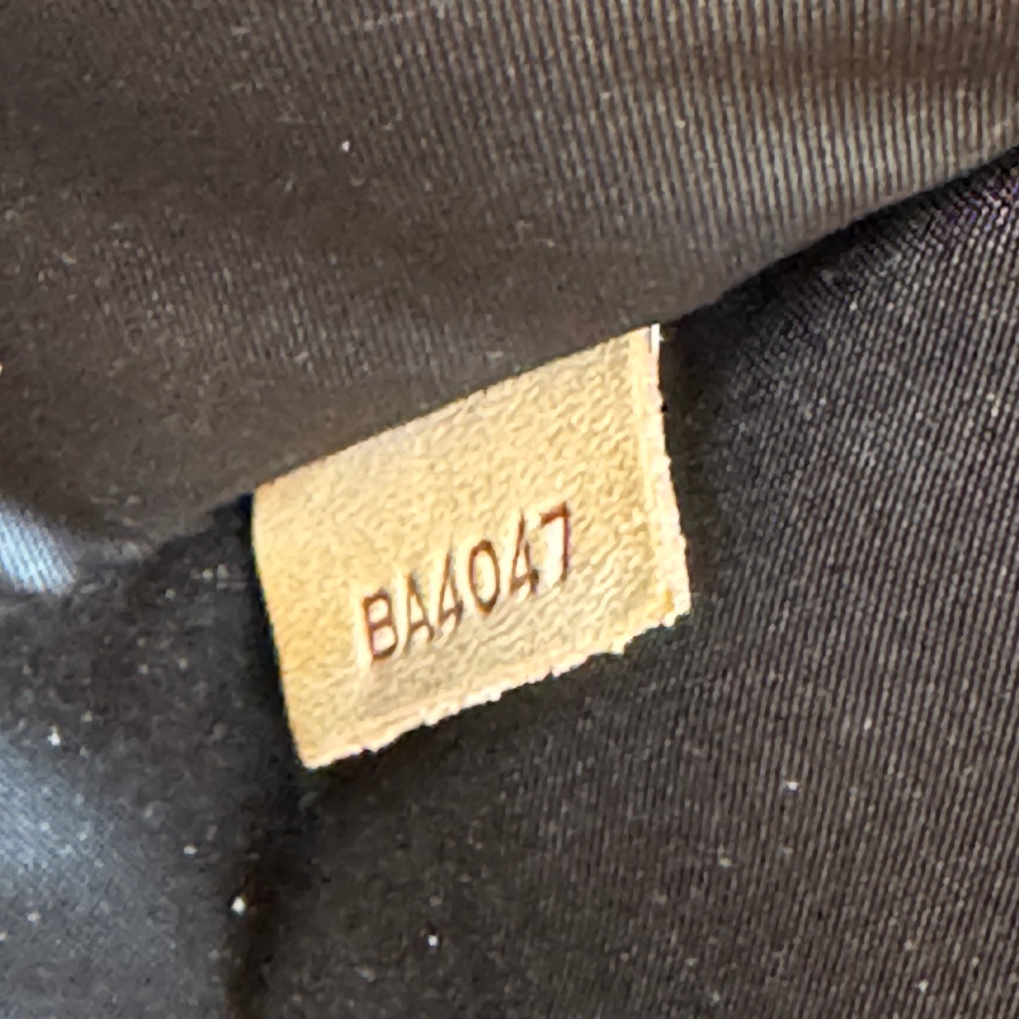 Louis Vuitton Monogram Baxter PM Dog Carrier