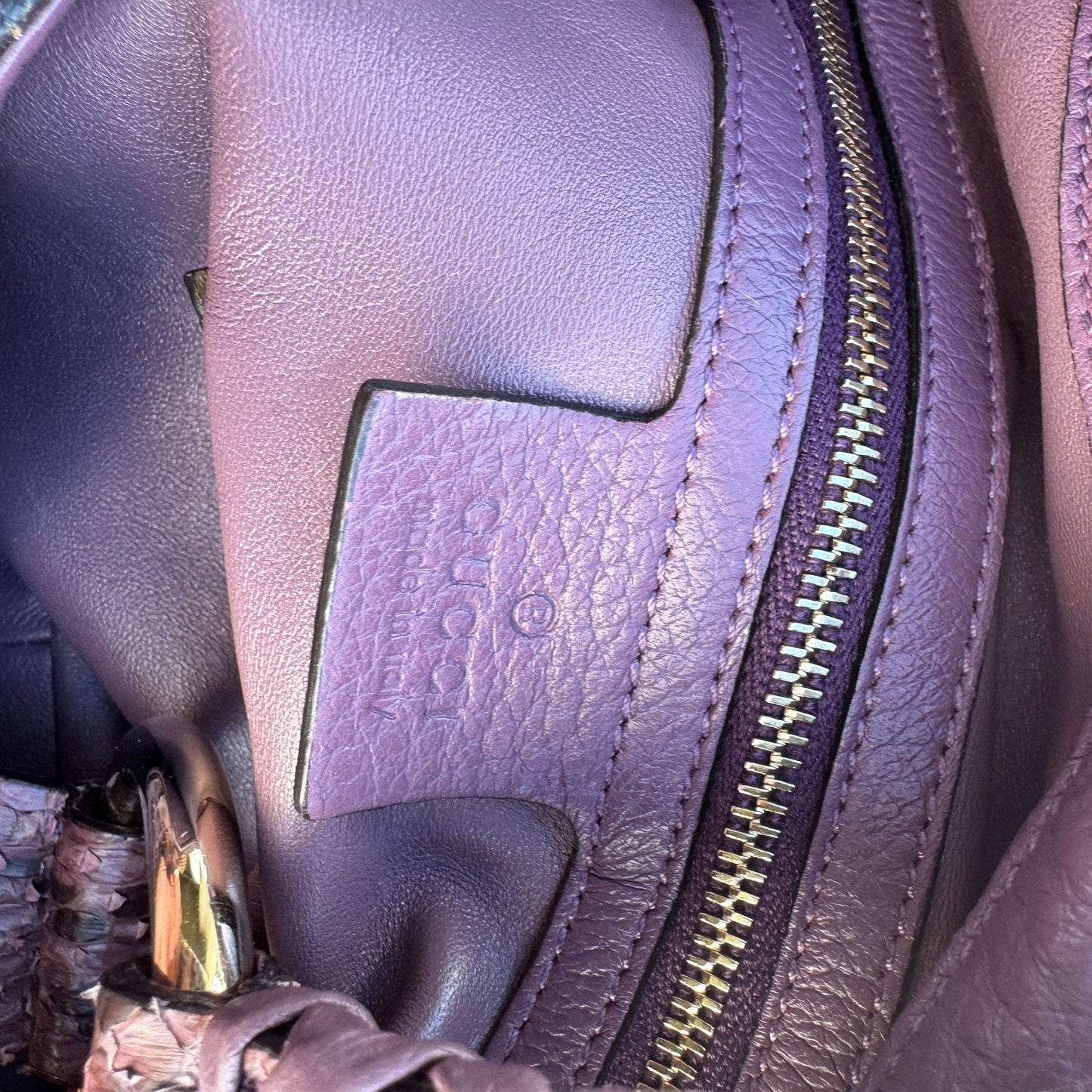 Gucci G Wave Python Hobo