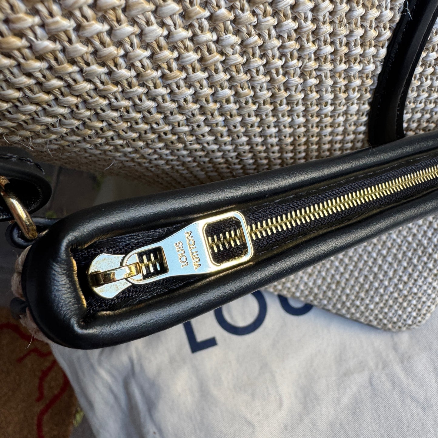 Louis Vuitton Saint Jacques Tote