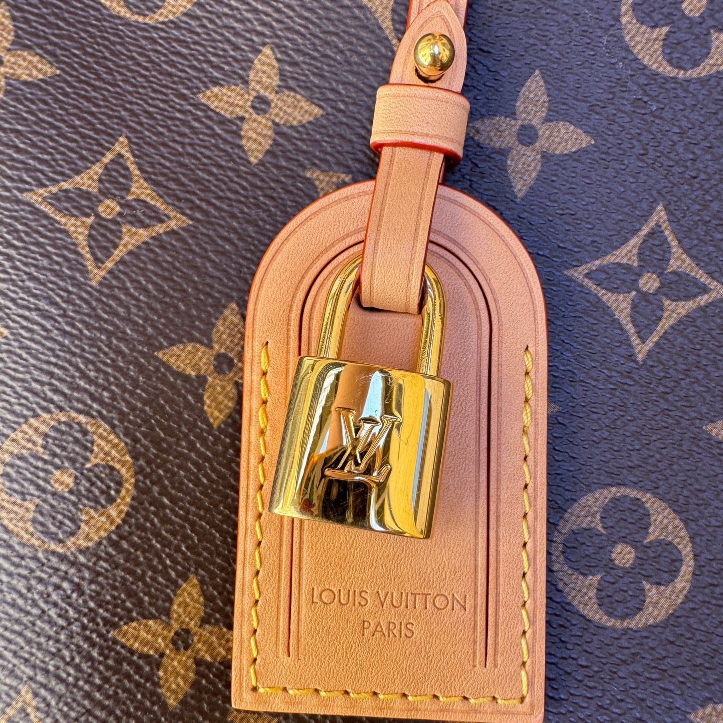 Louis Vuitton Monogram Grand Palais Tote