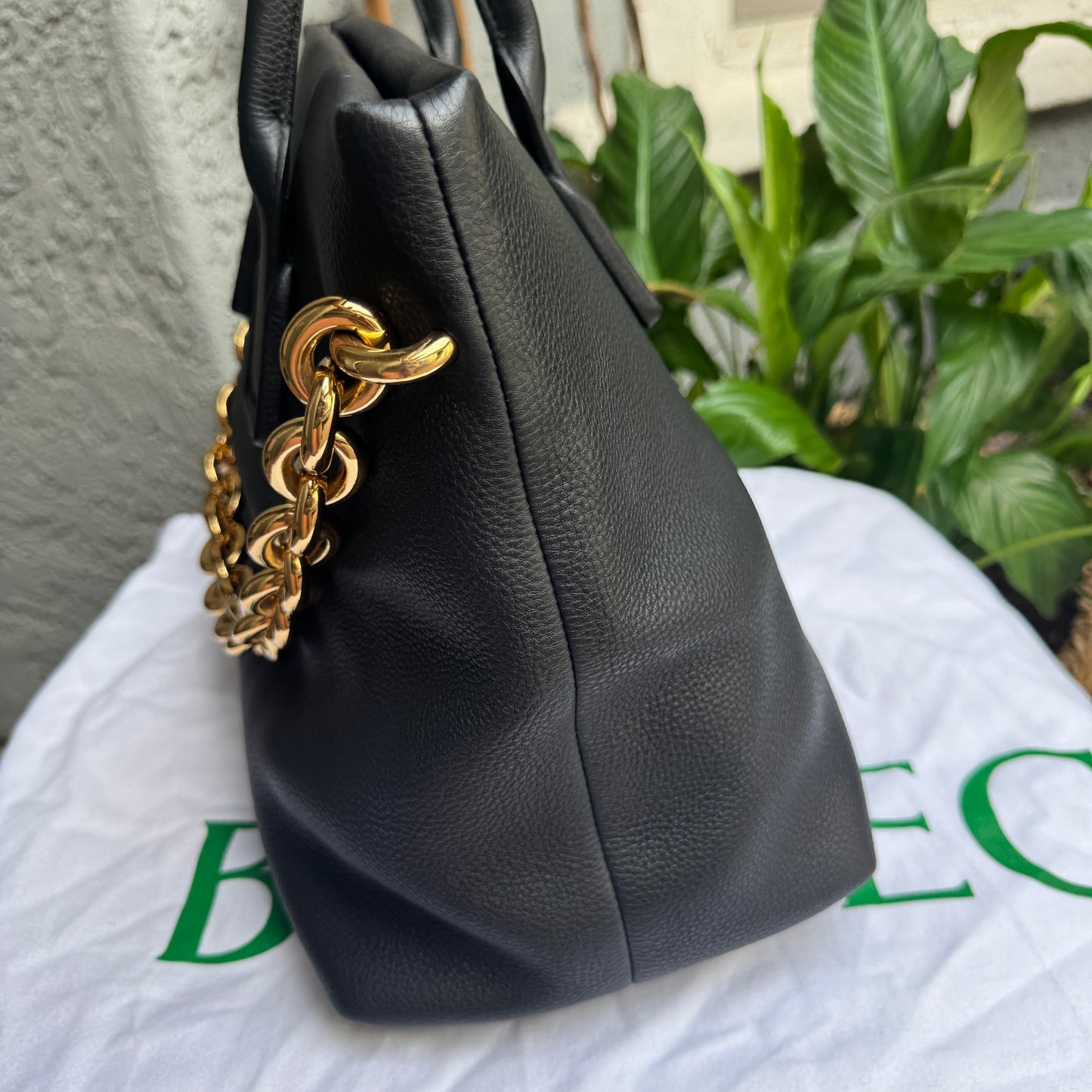 Bottega Veneta Mount Leather Tote