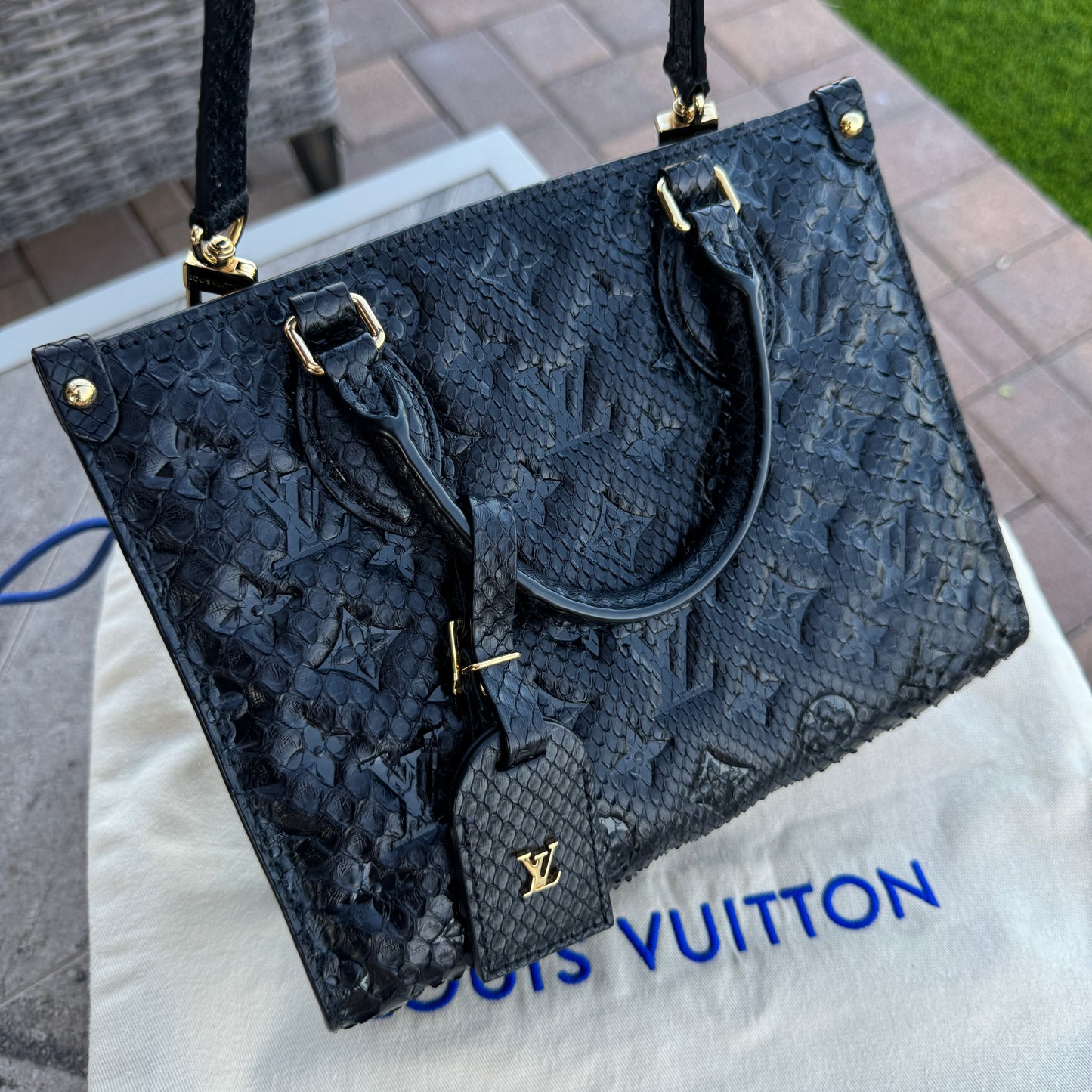 Louis Vuitton Python Onthego PM Crossbody