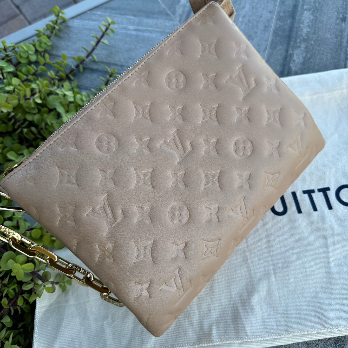 Louis Vuitton Coussin PM Crossbody