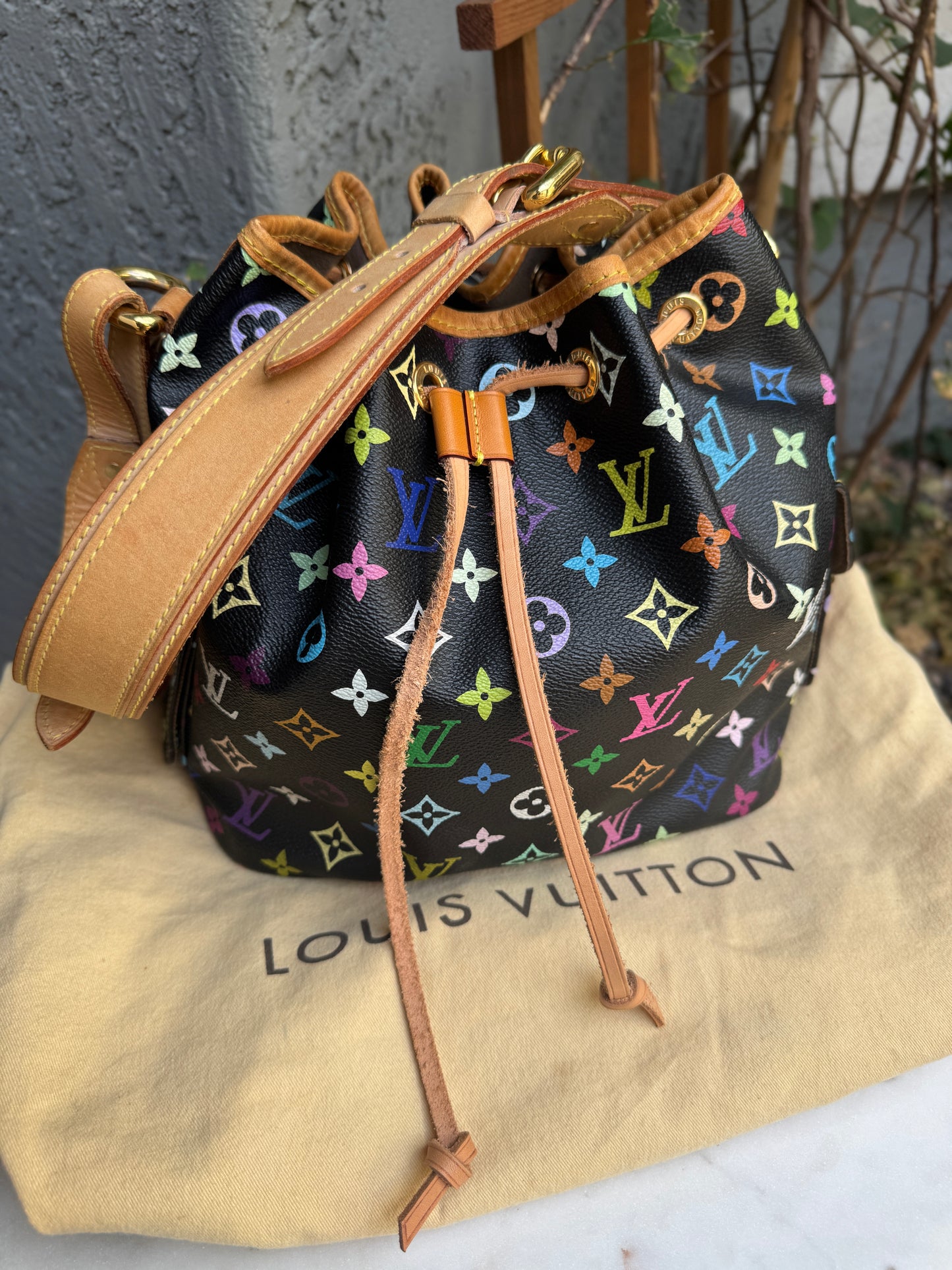 Louis Vuitton Multicolore Petit Noe Bucket Drawstring Shoulder Bag