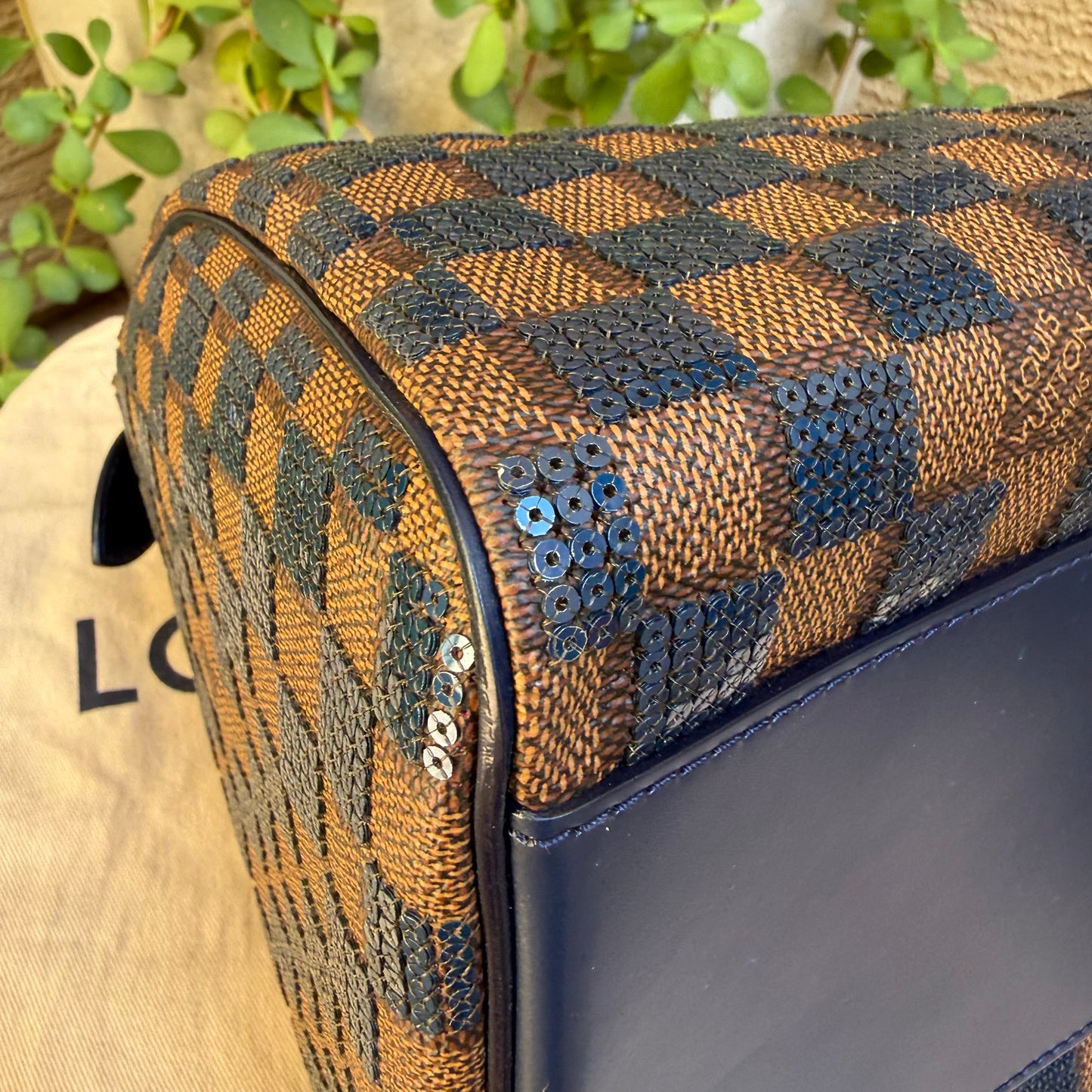 Louis Vuitton Damier Paillettes Speedy 30