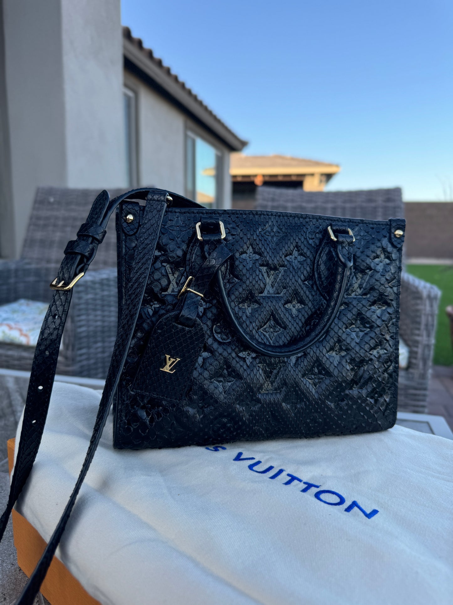 Louis Vuitton Python Onthego PM Crossbody