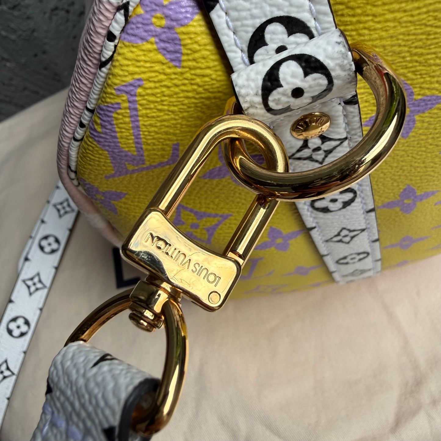 Louis Vuitton Speedy Bandouliere 30
