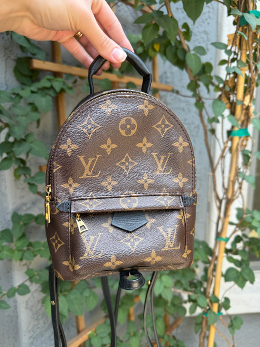 Louis Vuitton Monogram Mini Palm Springs Backpack