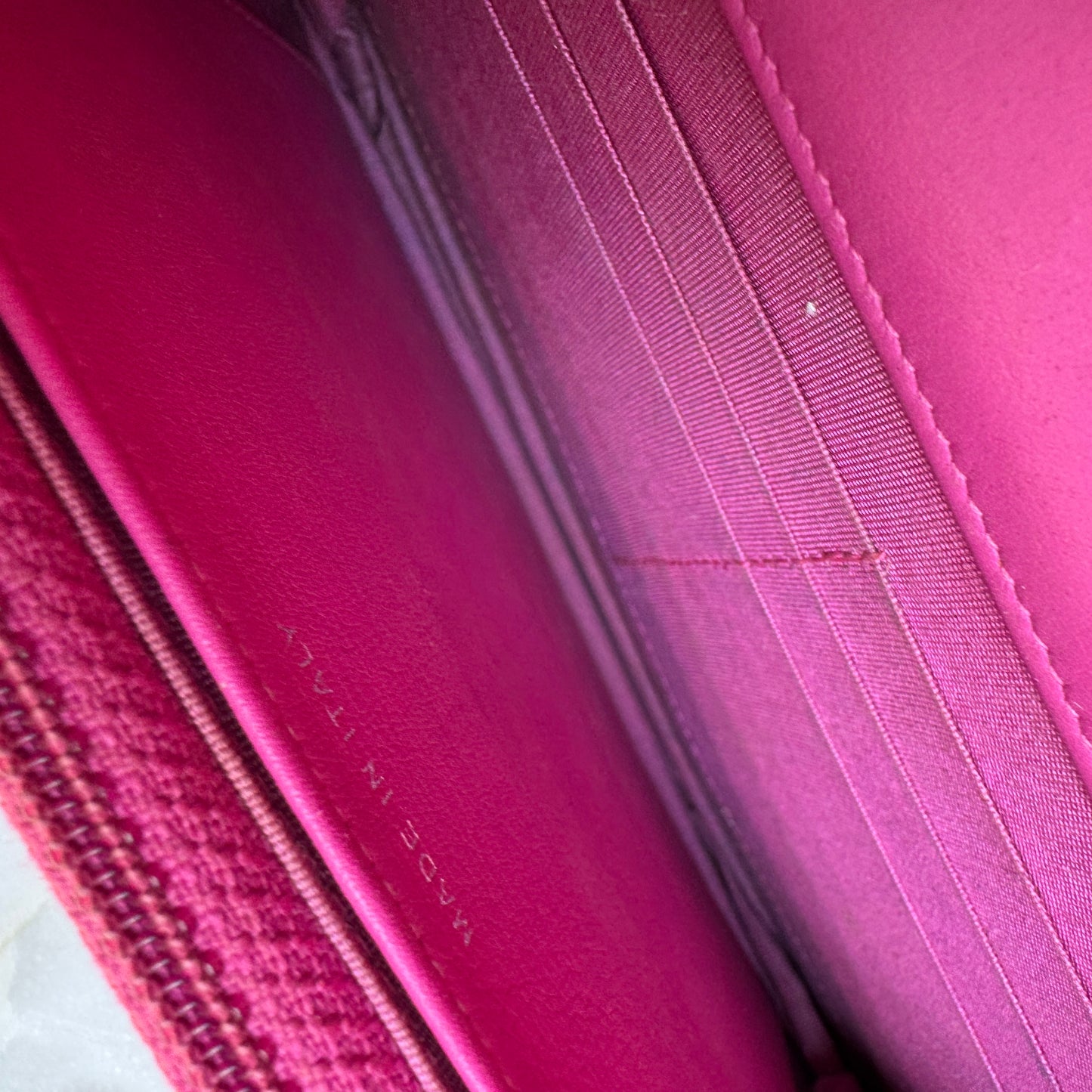 Chanel Python Boy WOC Wallet on Chain Crossbody