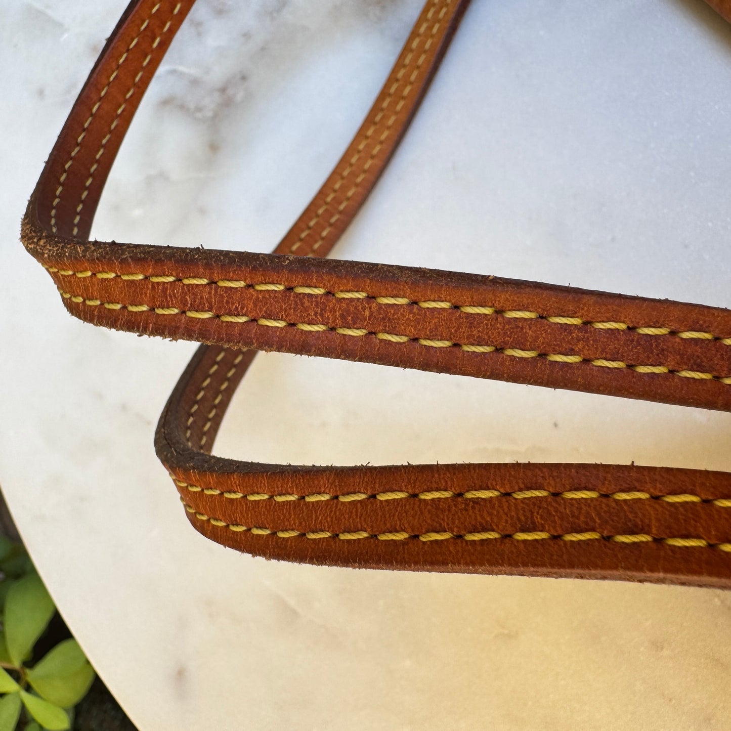 Louis Vuitton Monogram Neverfull PM