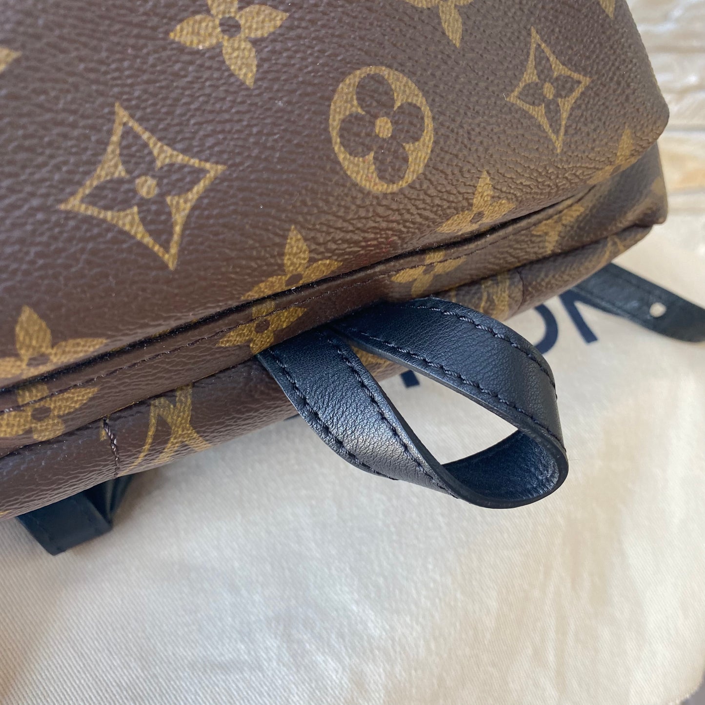 Louis Vuitton Monogram Palm Springs PM Backpack