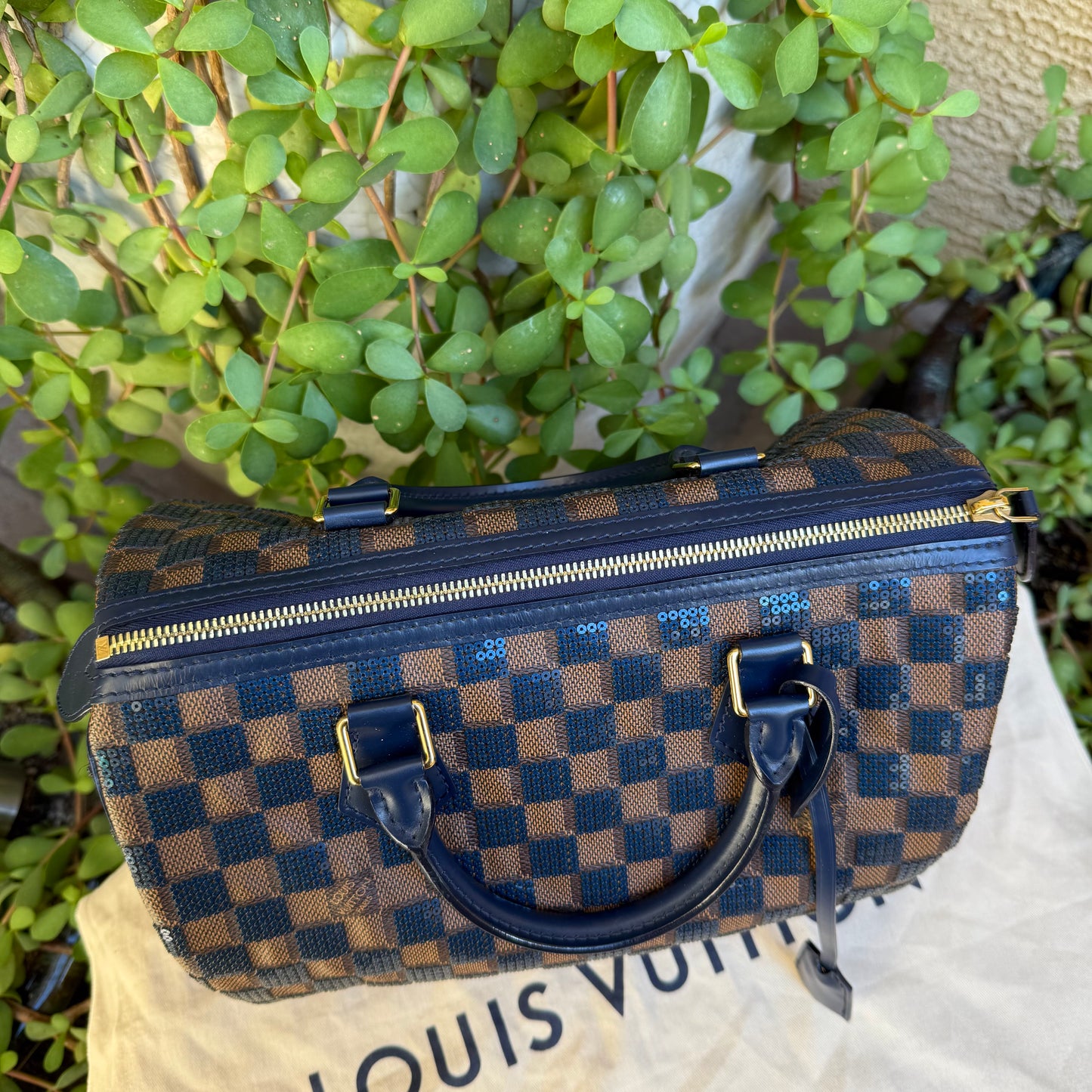 Louis Vuitton Damier Paillettes Speedy 30