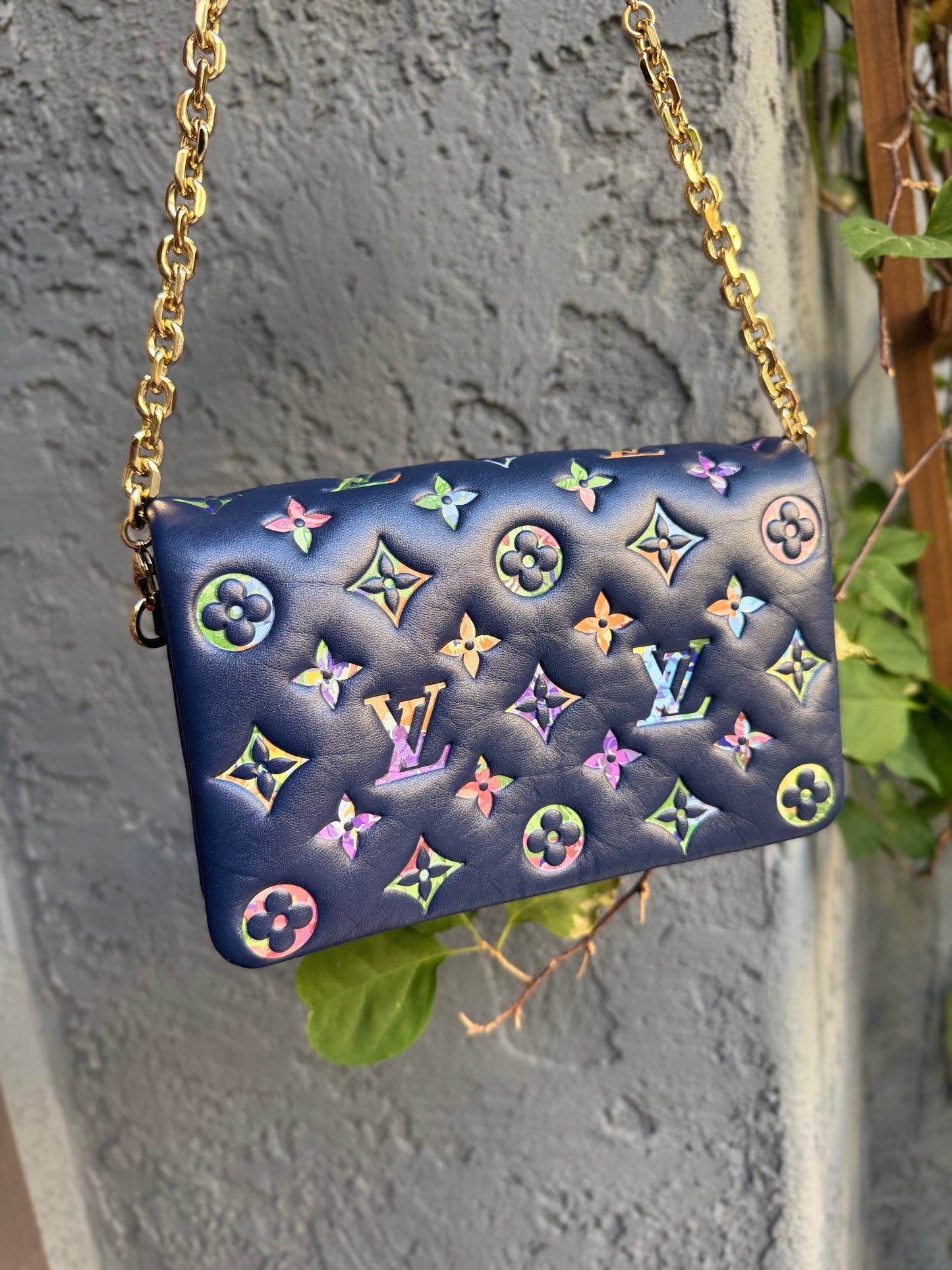 Louis Vuitton Multicolor Garden Pochette Coussin Crossbody
